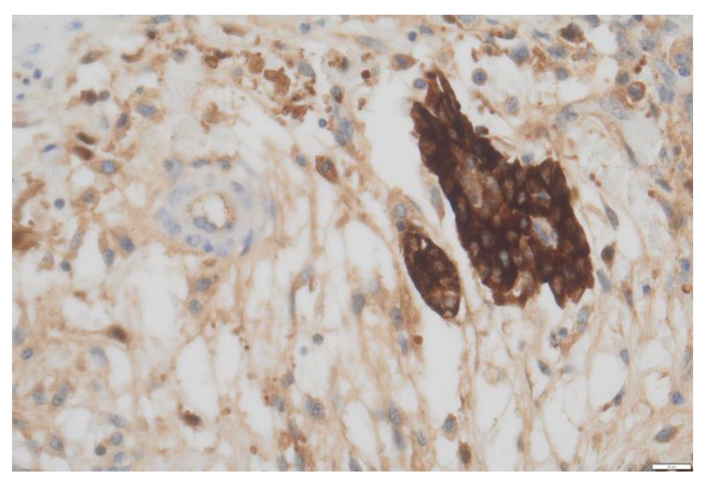 Preprints 173142 g002