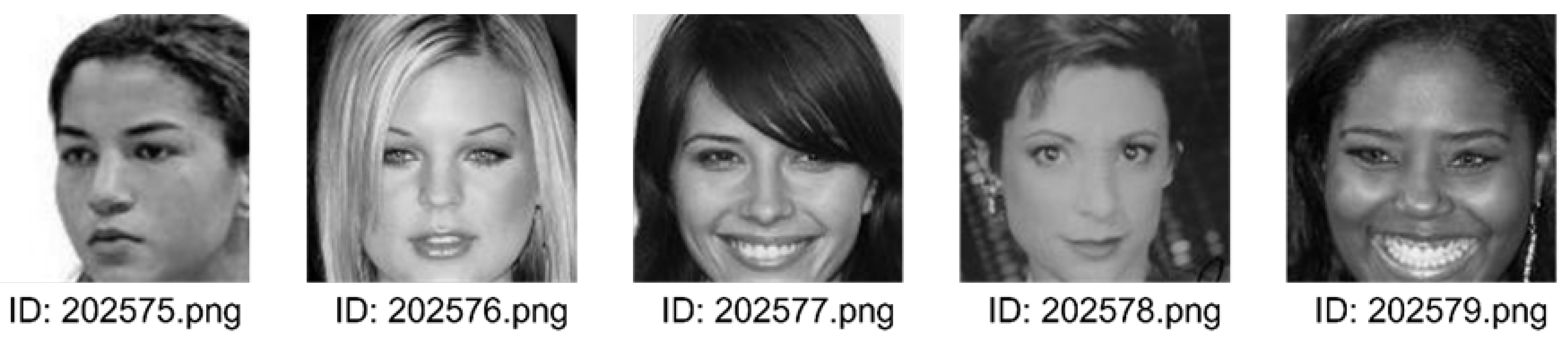 Preprints 172352 g011