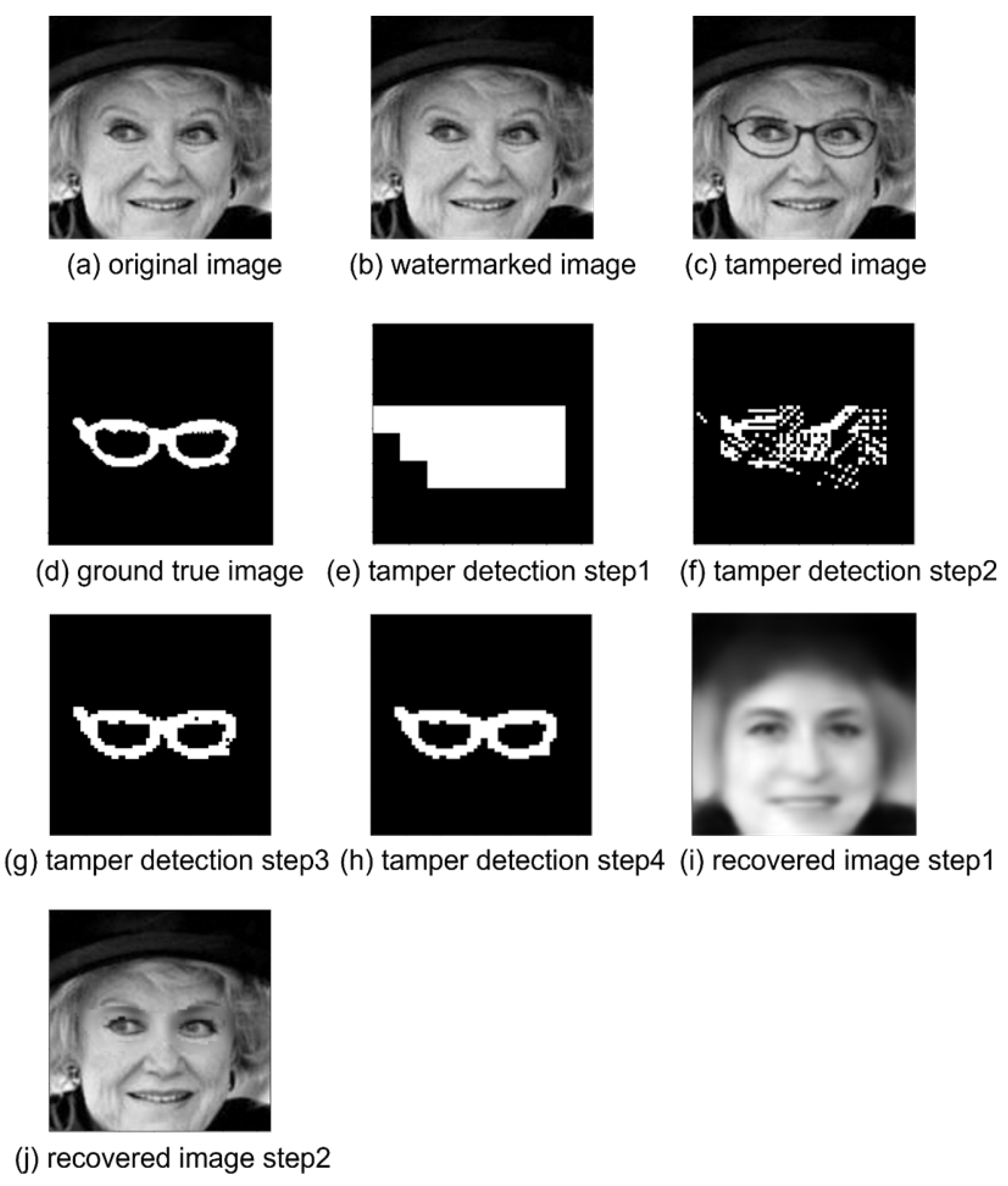 Preprints 172352 g015