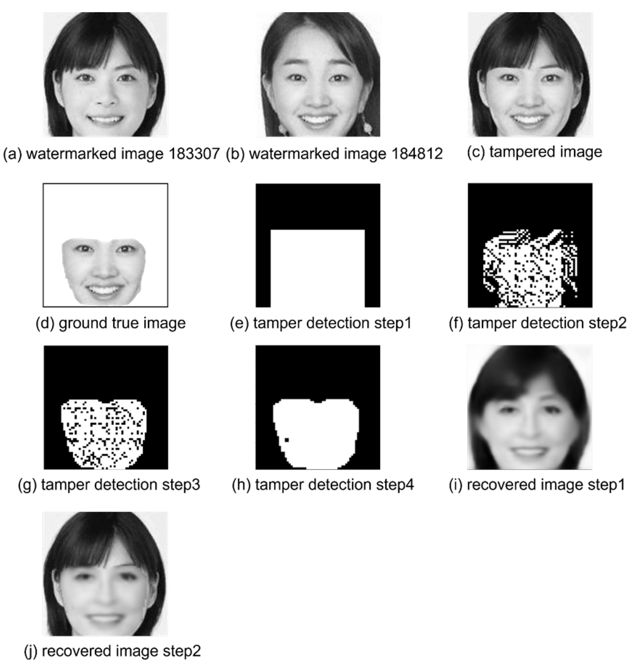 Preprints 172352 g017