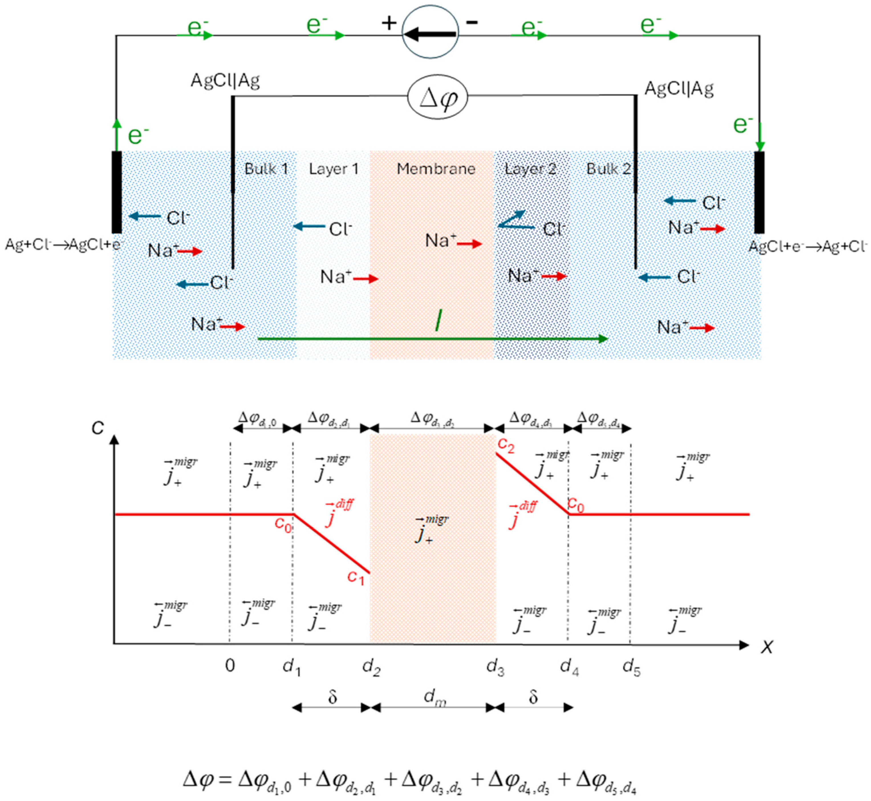 Preprints 142491 g001