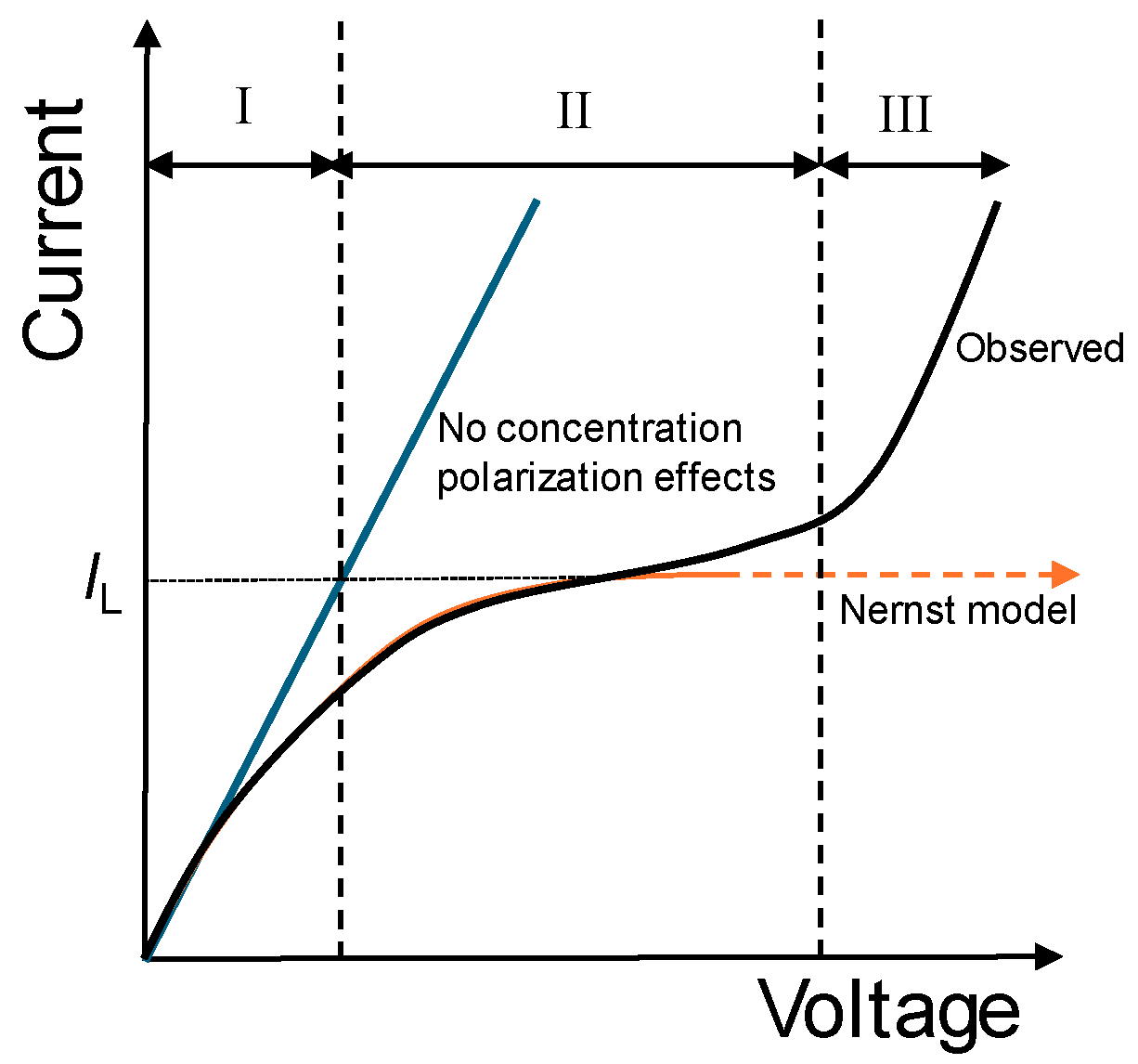Preprints 142491 g002