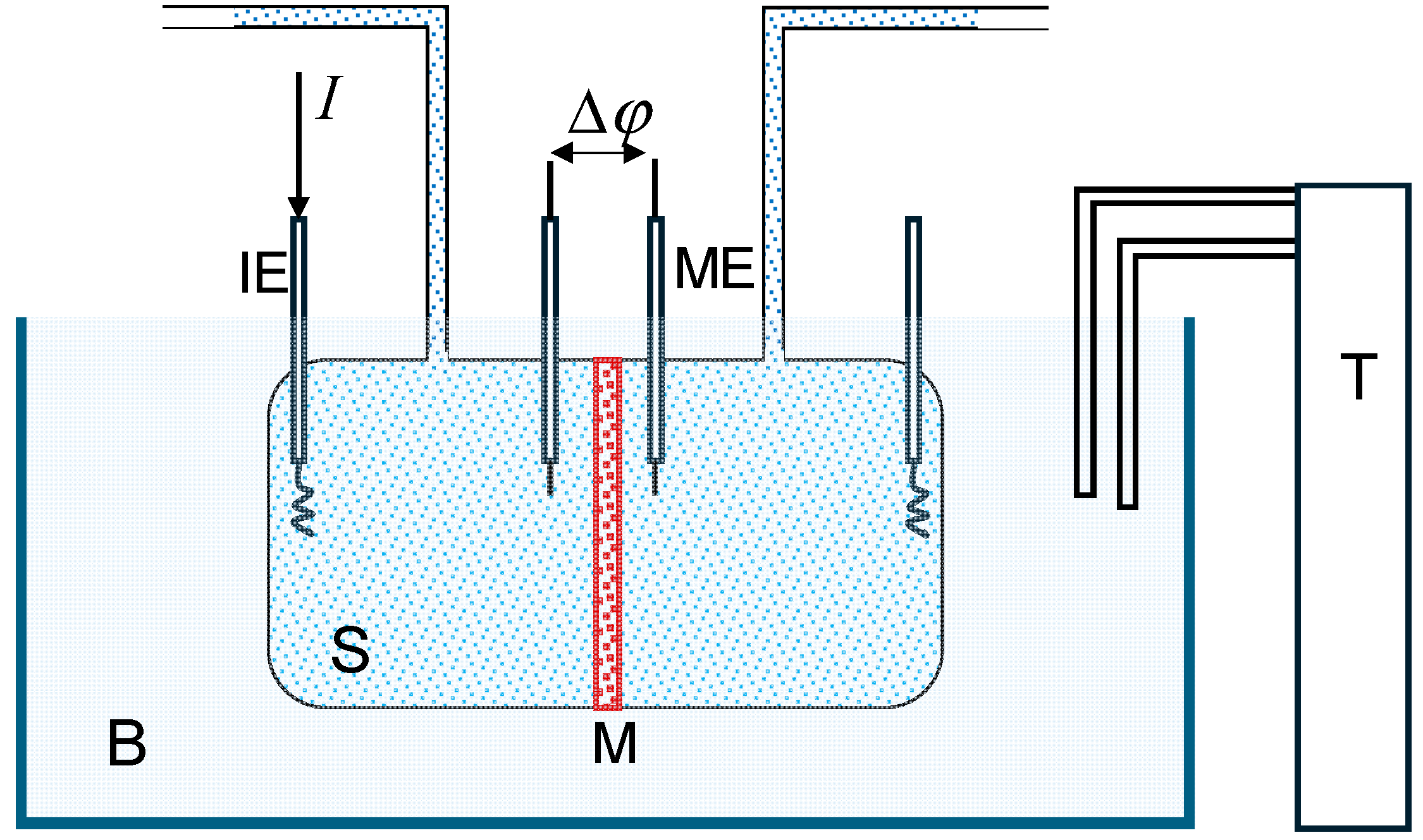 Preprints 142491 g003