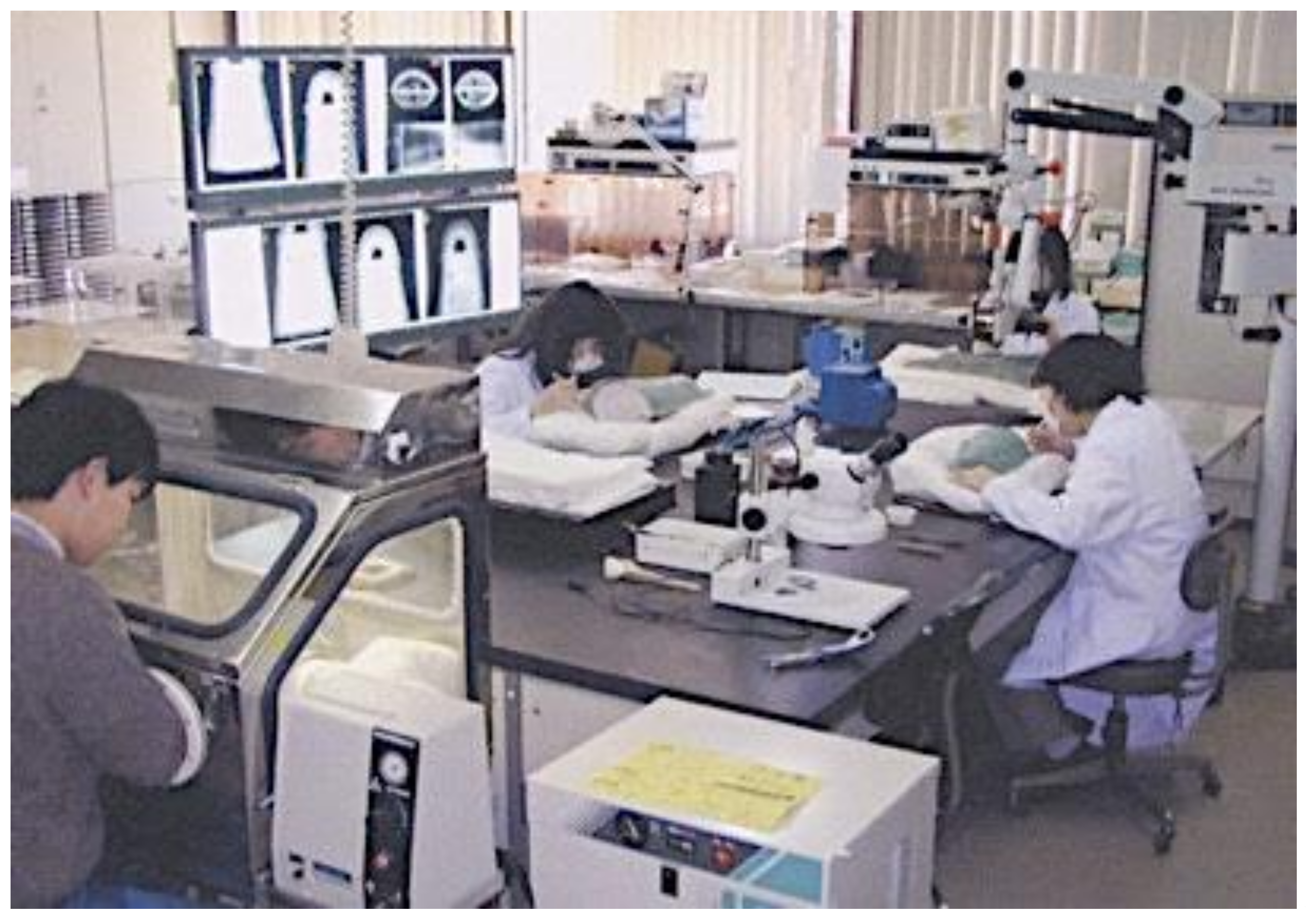 Preprints 88135 g014