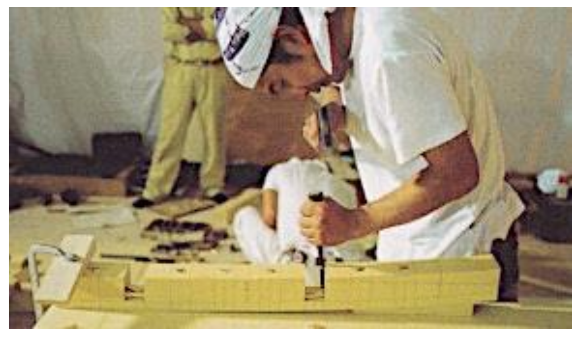 Preprints 88135 g019