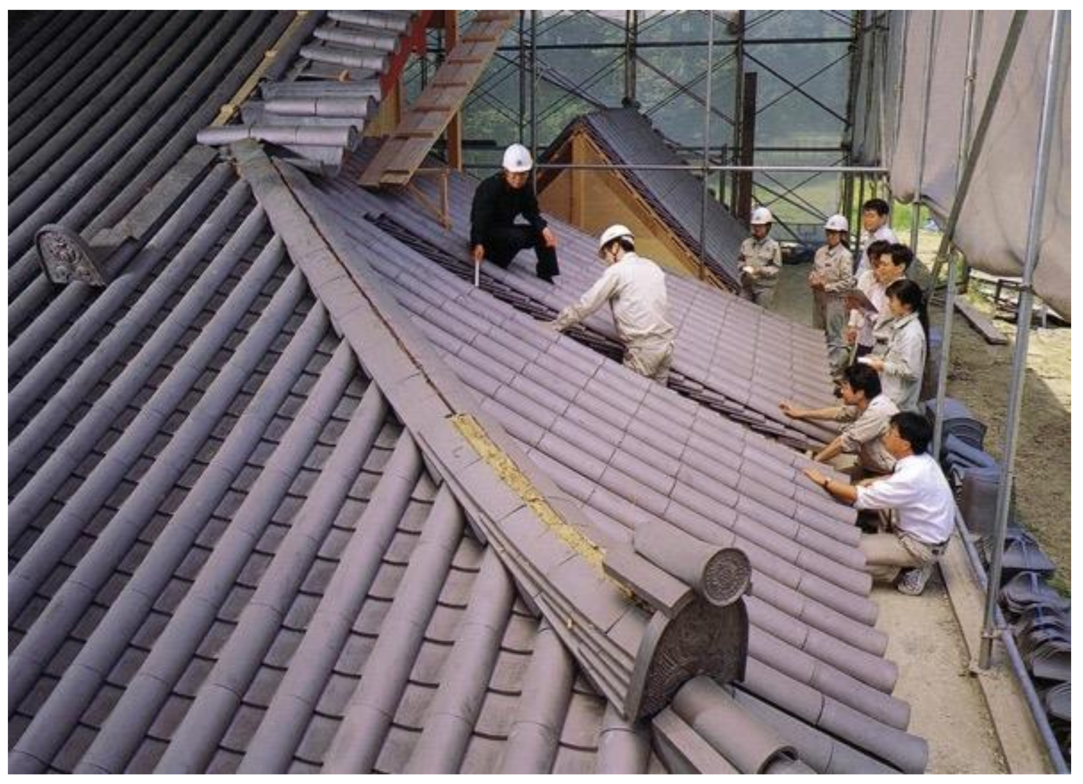 Preprints 88135 g025