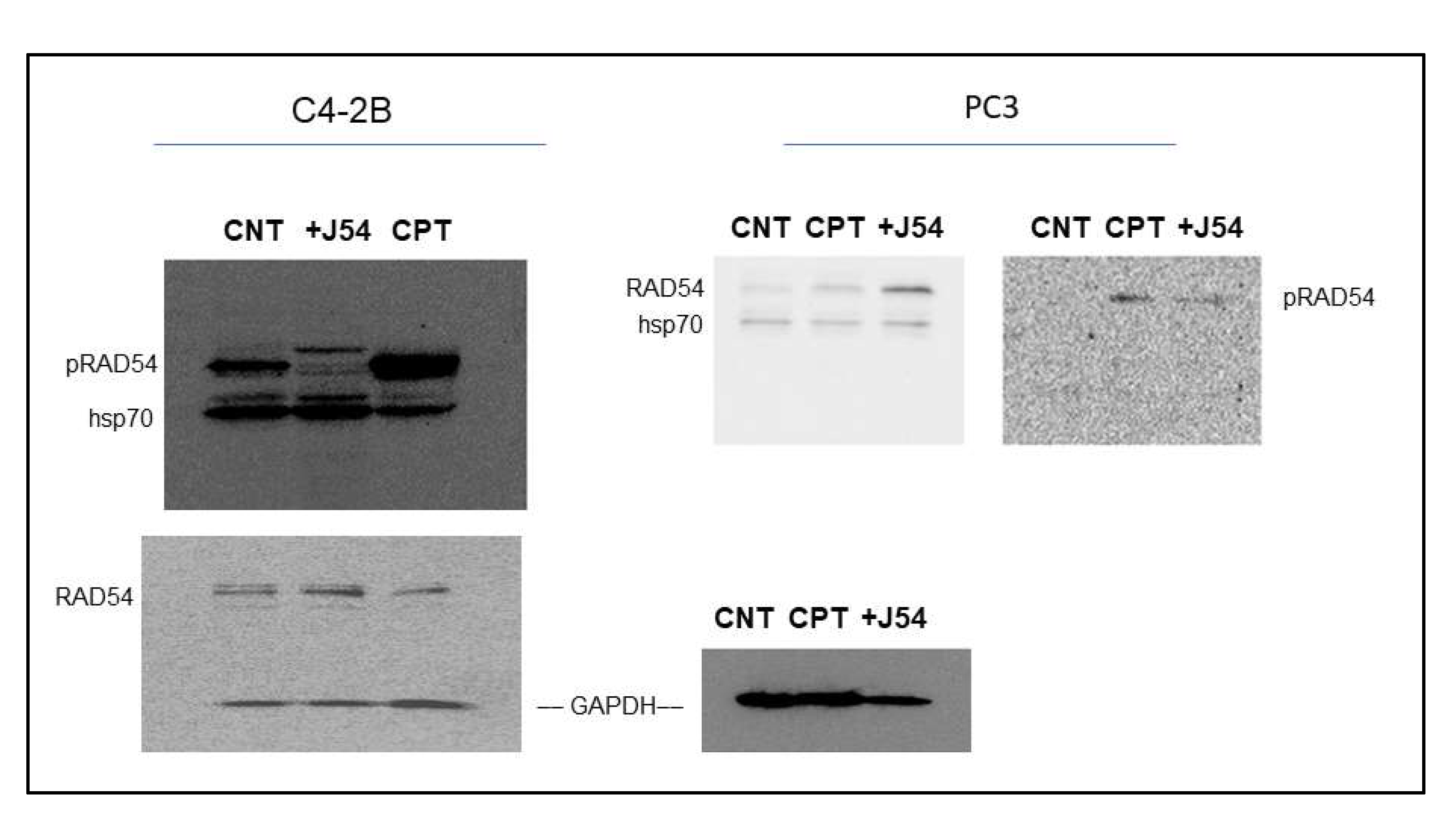 Preprints 85561 g002