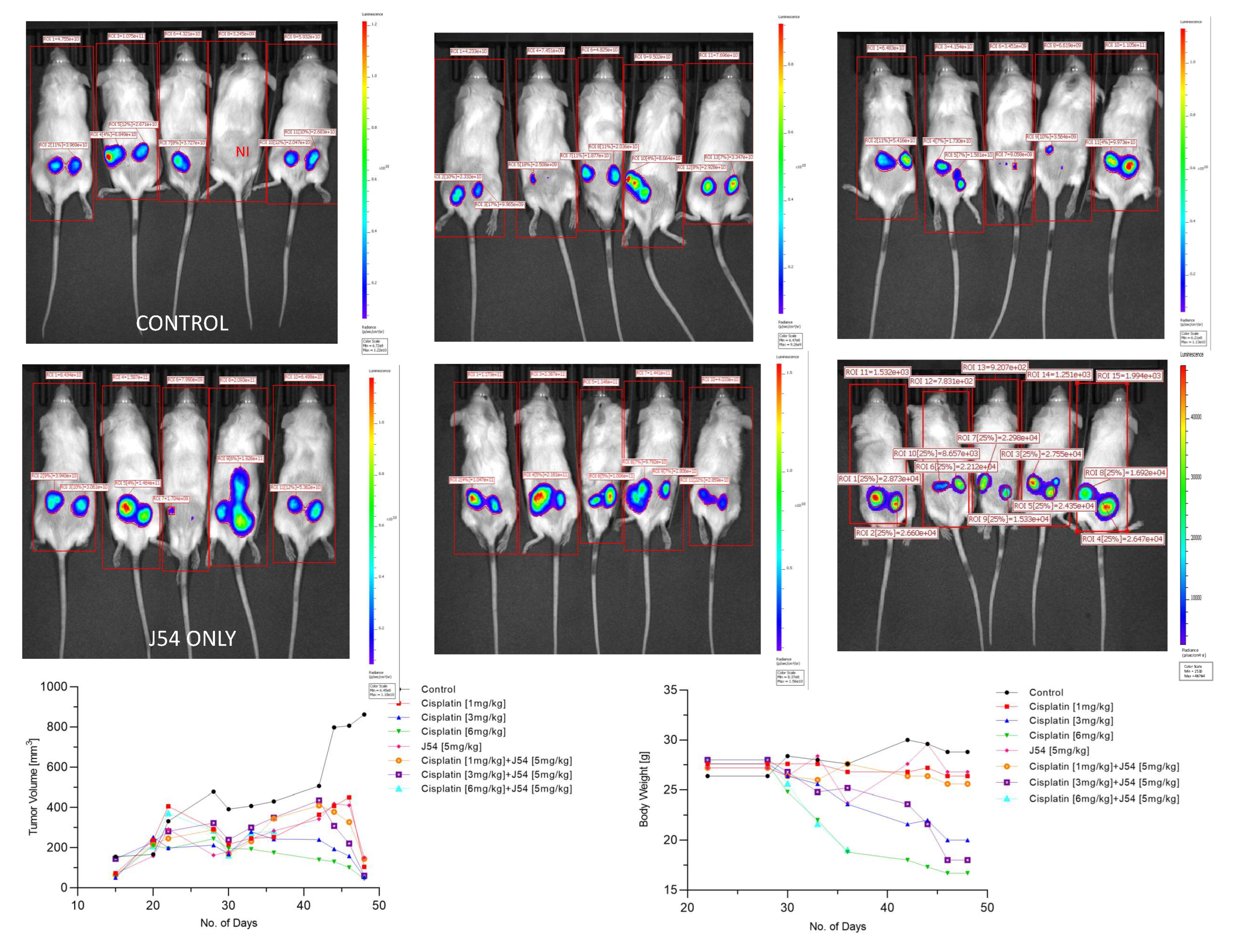 Preprints 85561 g003
