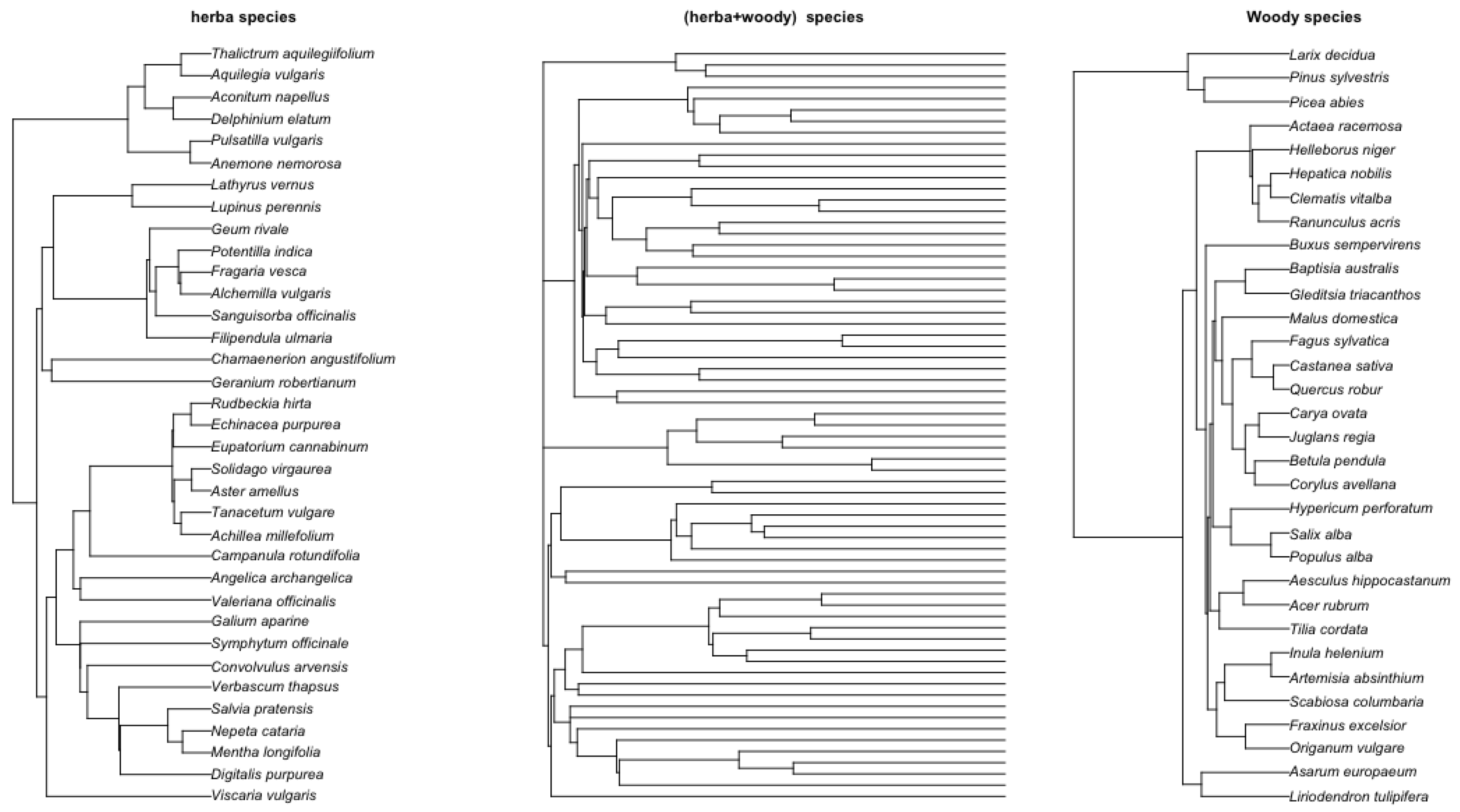 Preprints 140767 g007