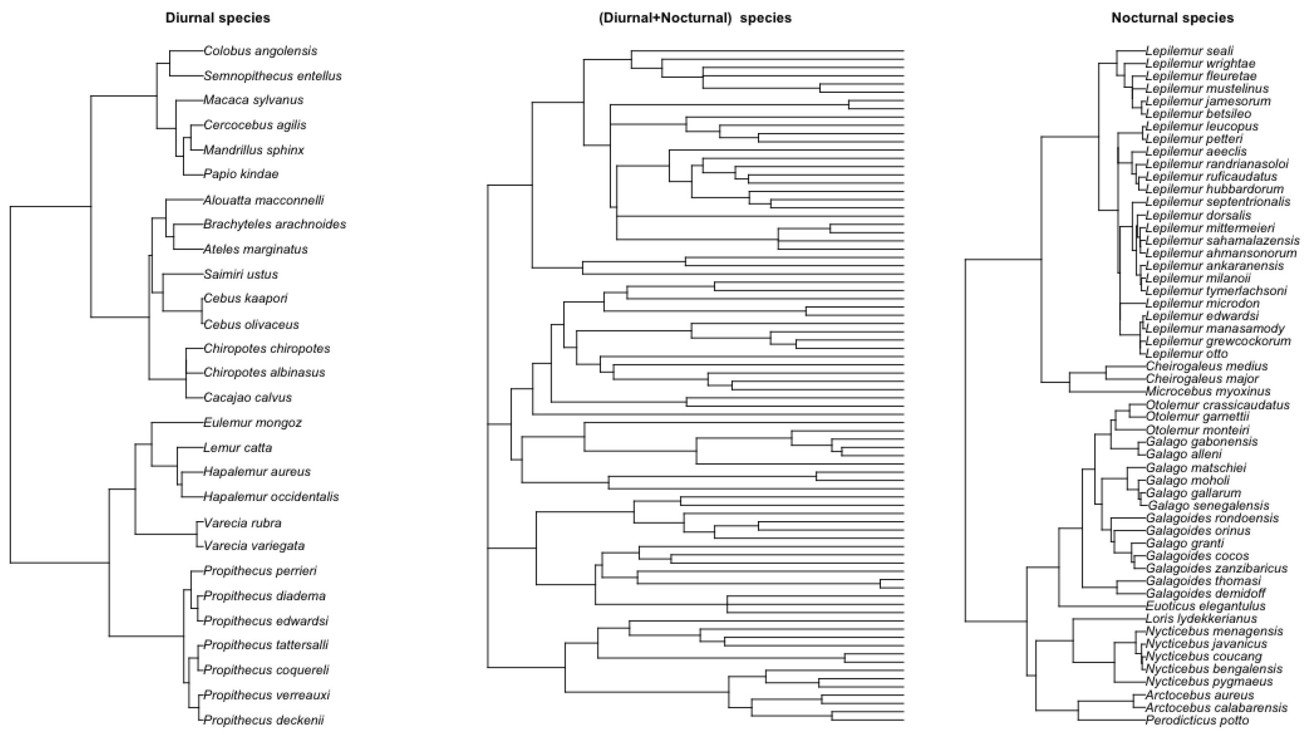Preprints 140767 g008