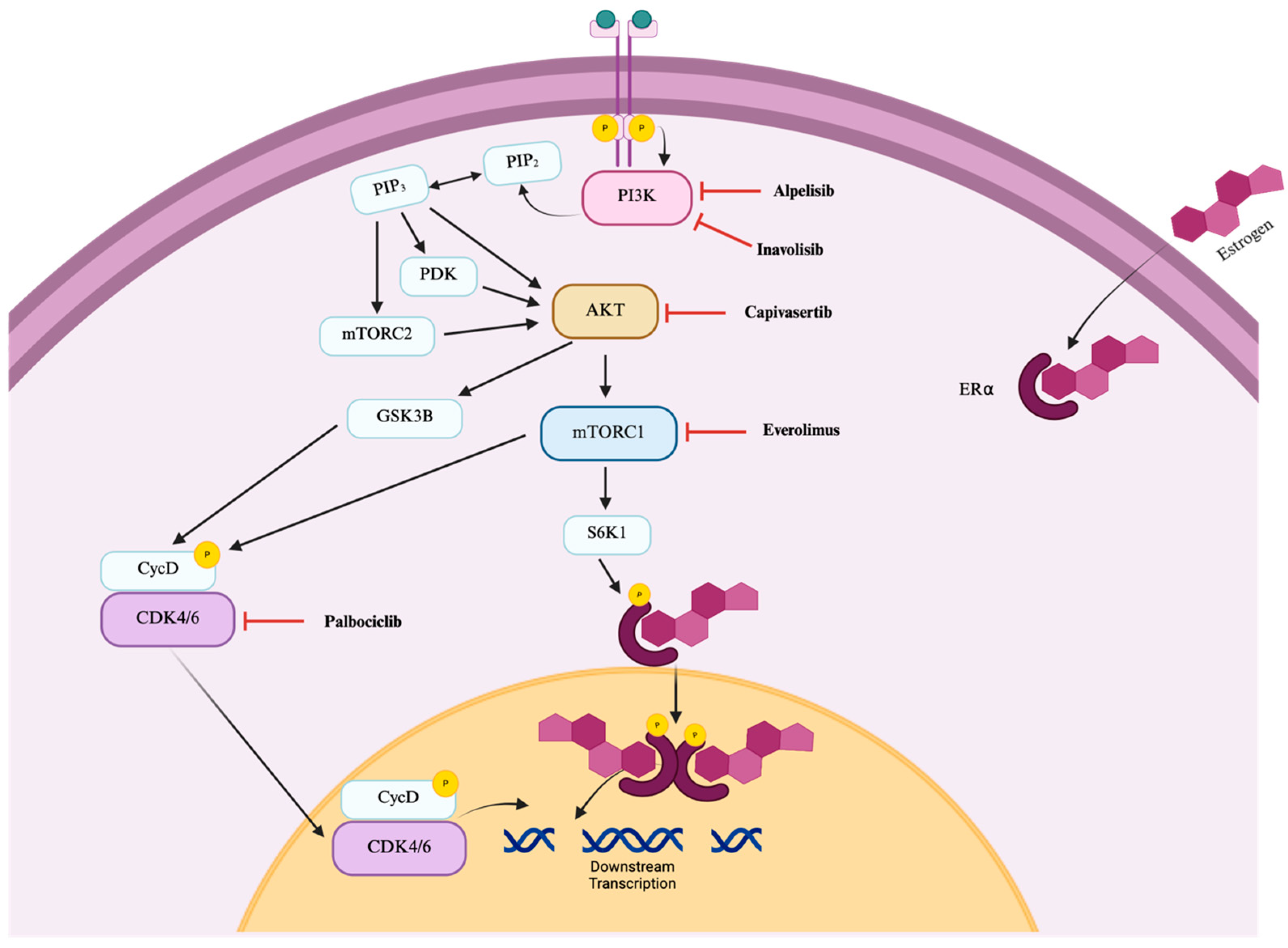 Preprints 175738 g001