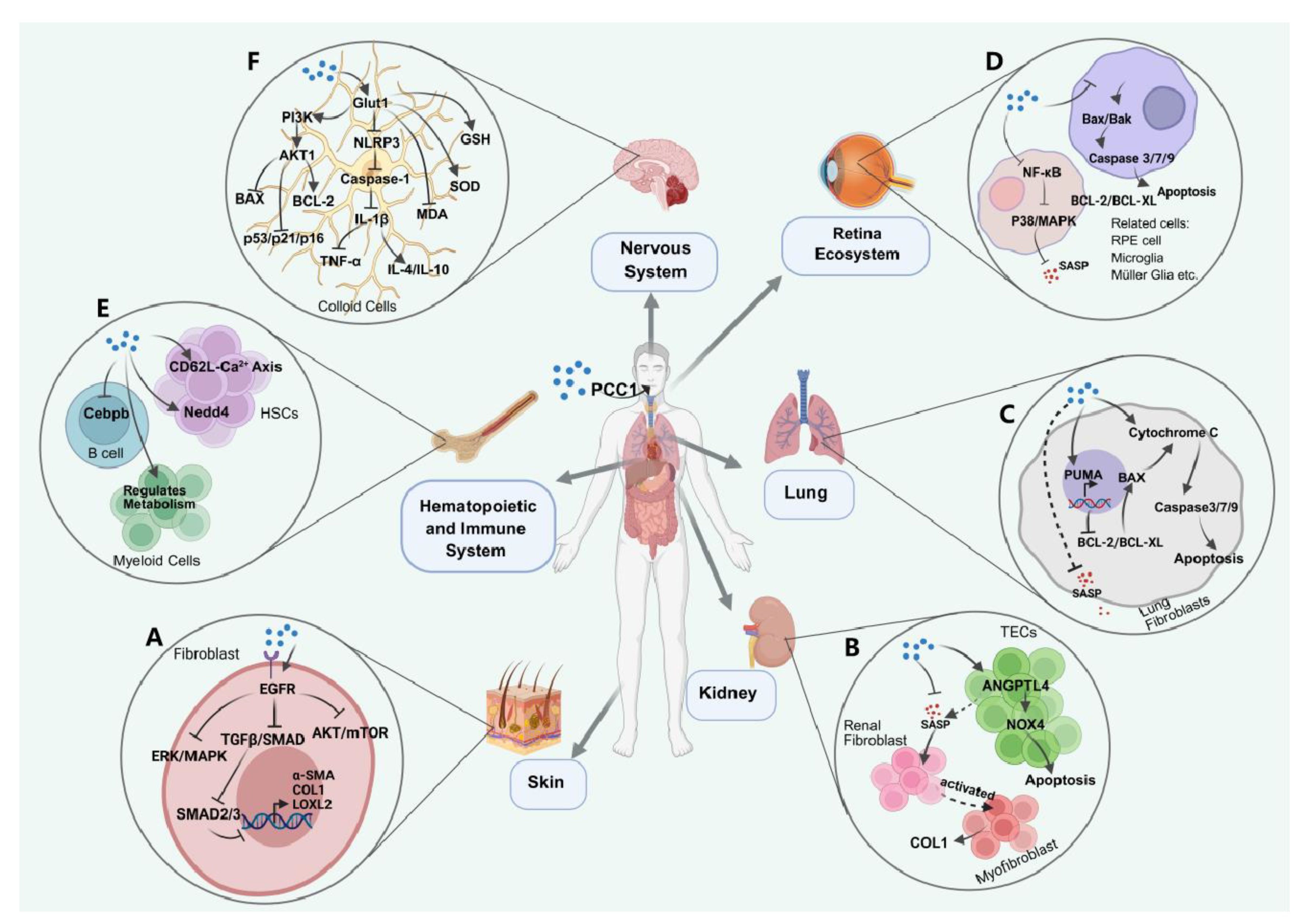 Preprints 177141 g001
