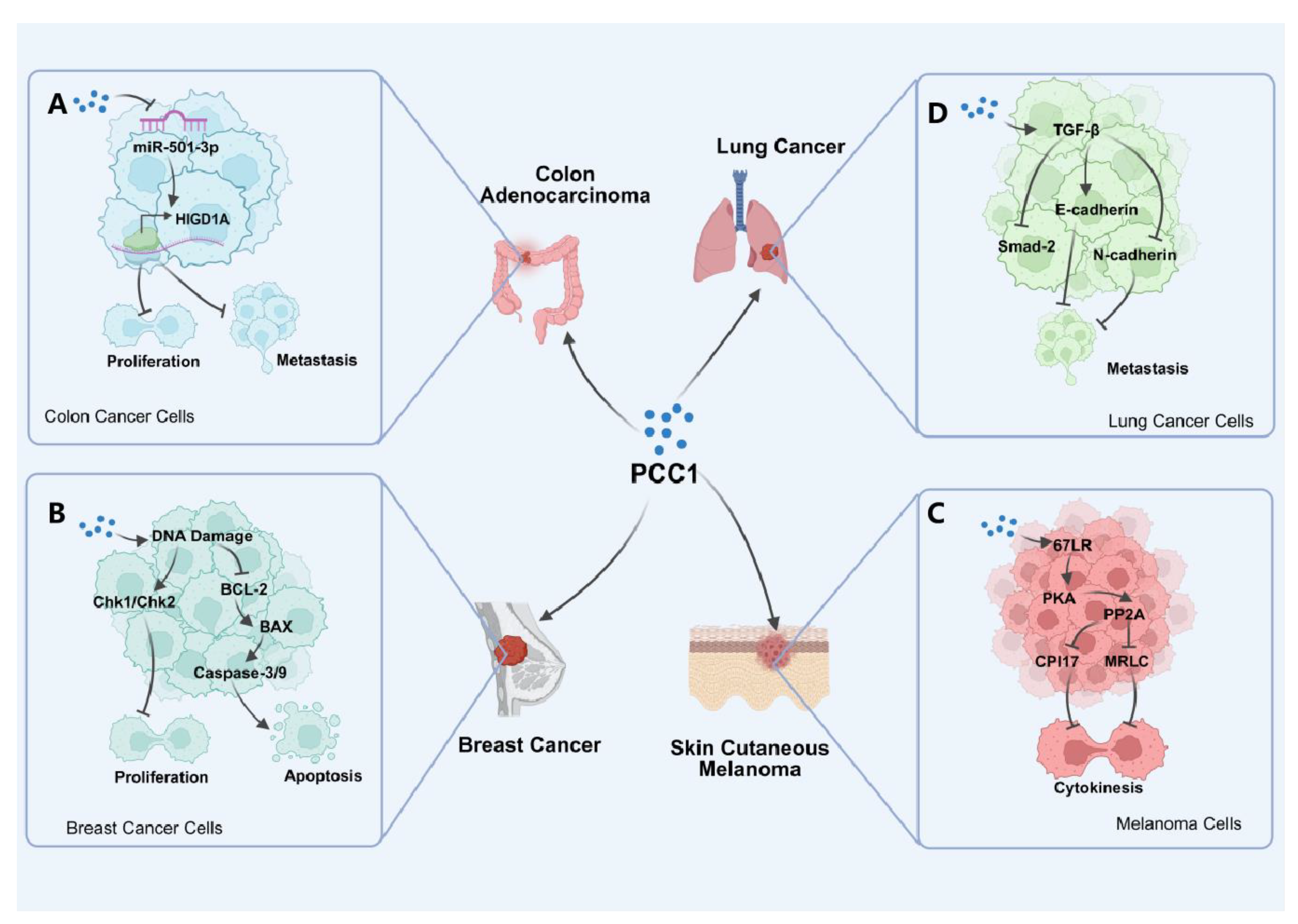 Preprints 177141 g002