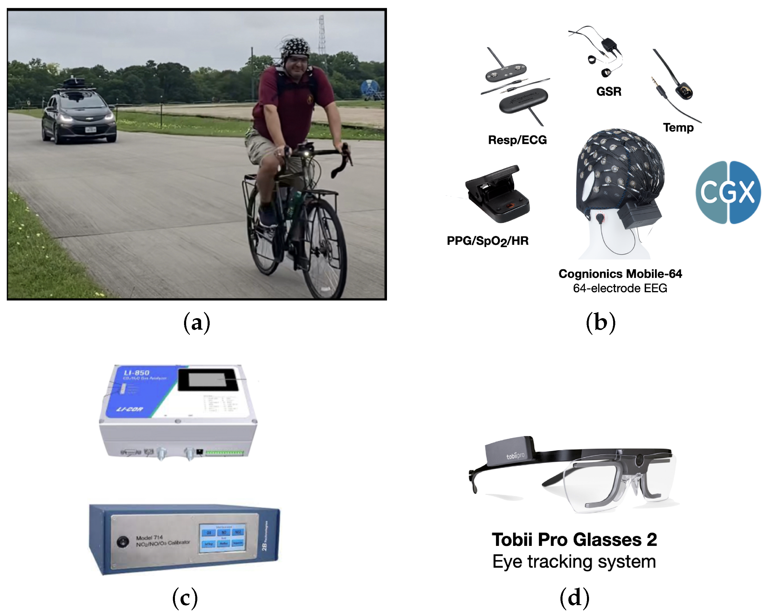 Preprints 142542 g001