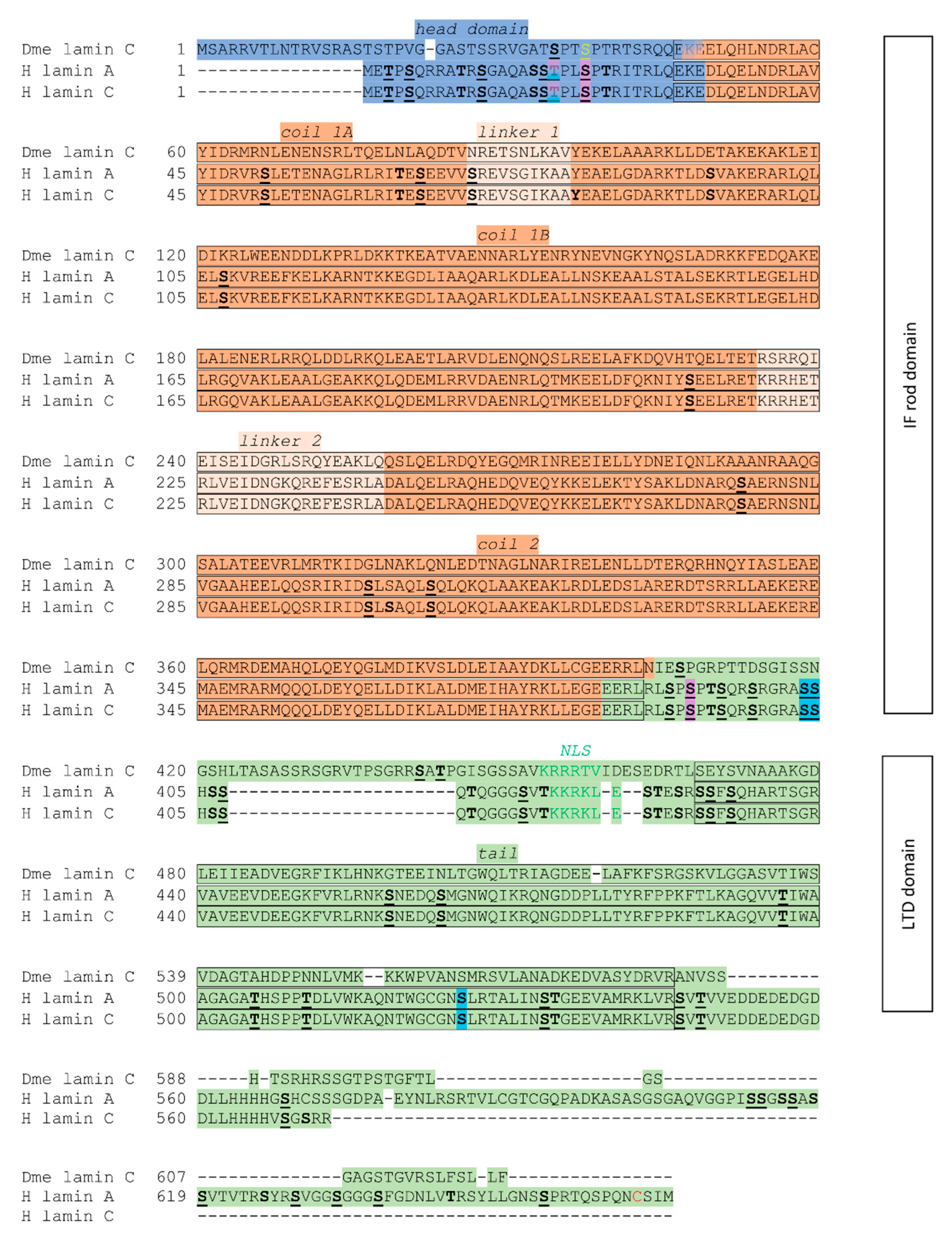 Preprints 167616 g002