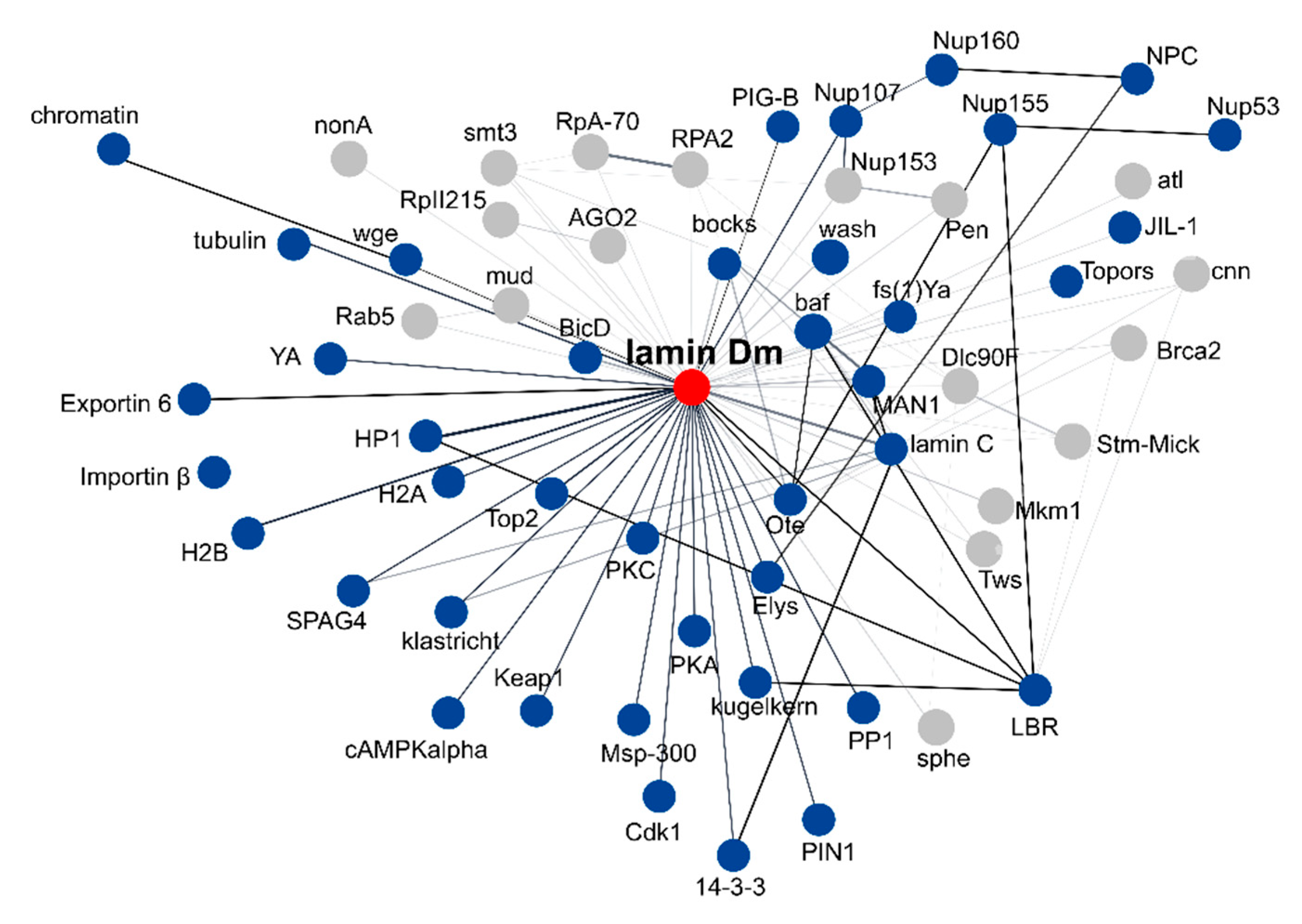 Preprints 167616 g003