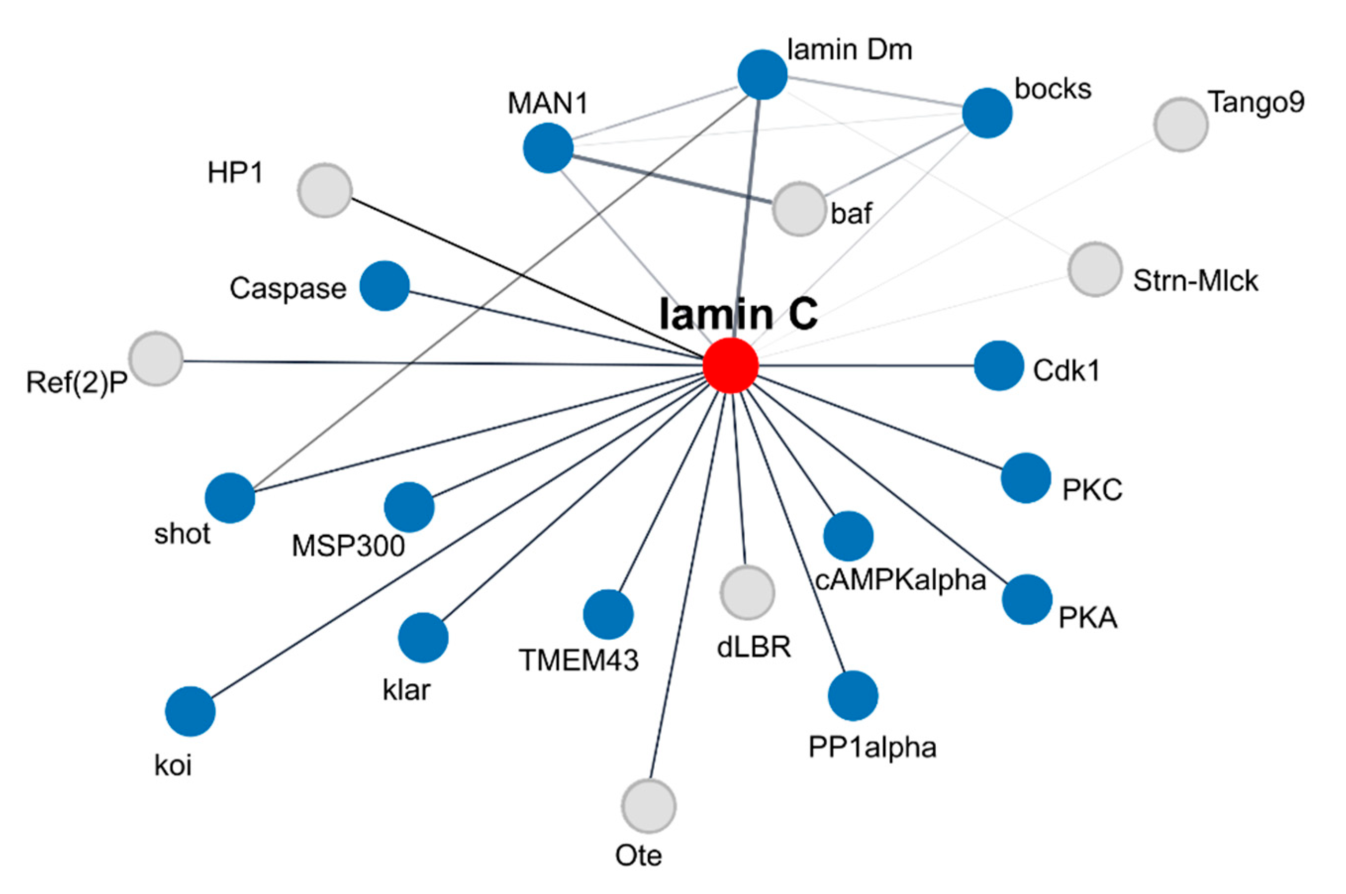 Preprints 167616 g004