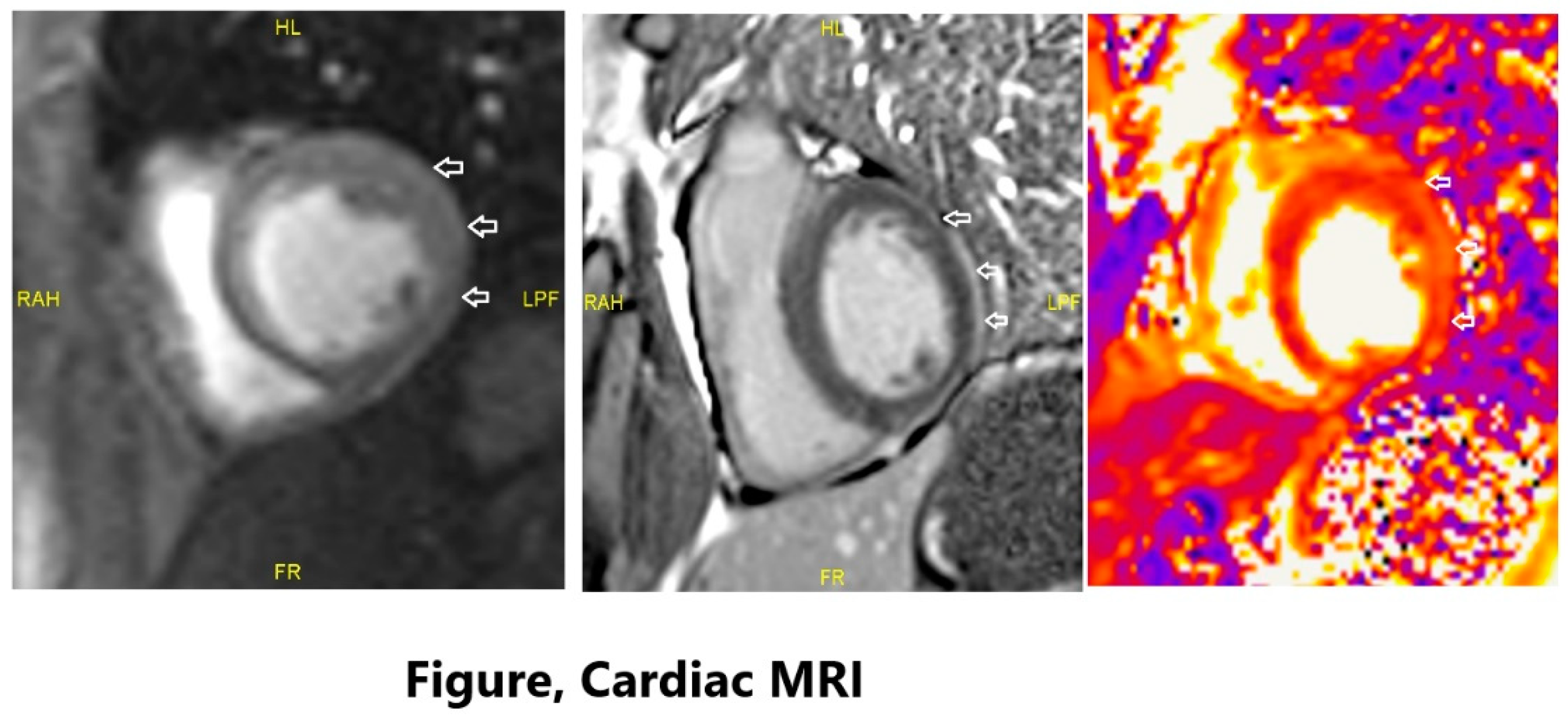 Preprints 144166 g001