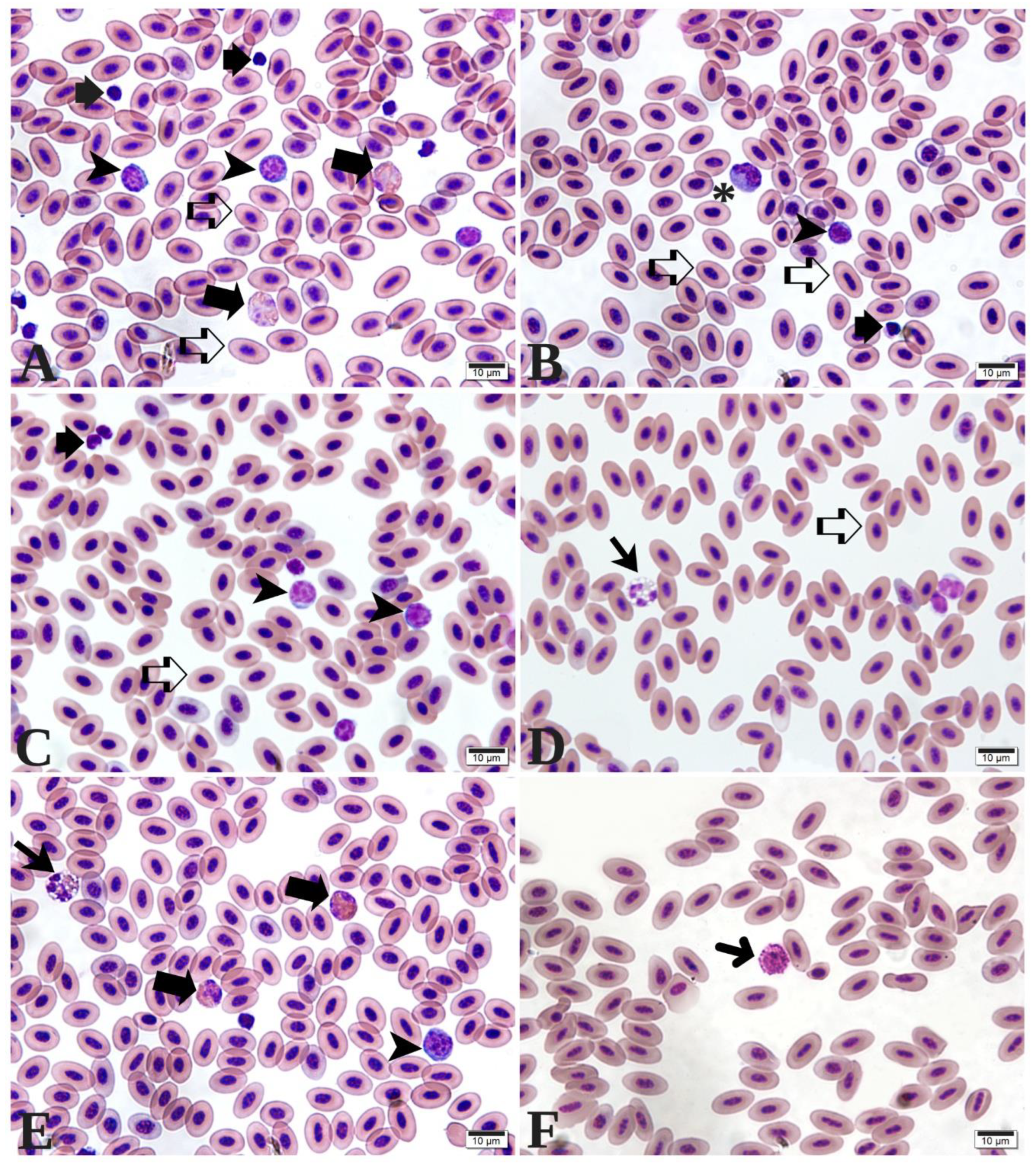 Preprints 179767 g002