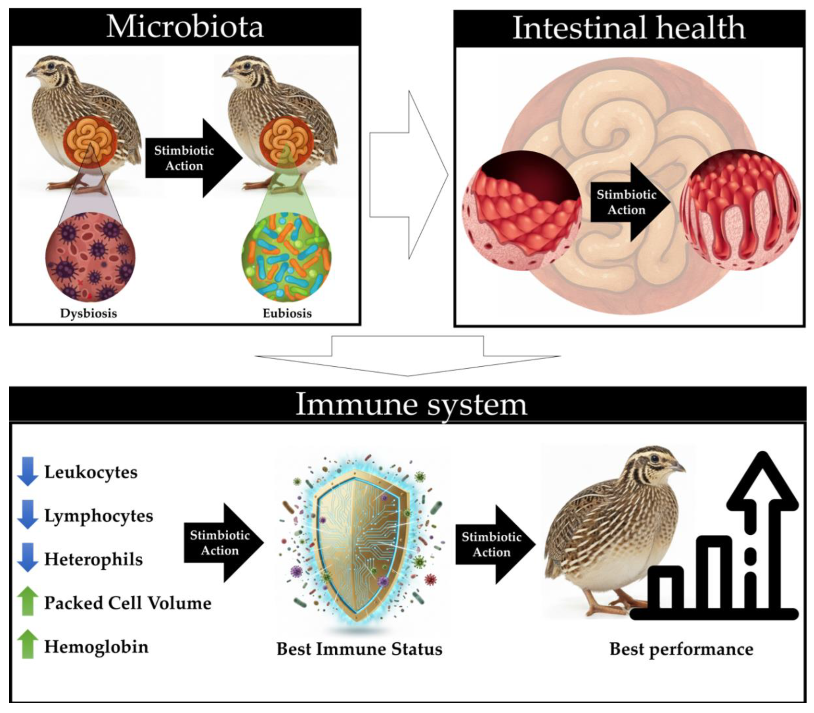 Preprints 179767 g004