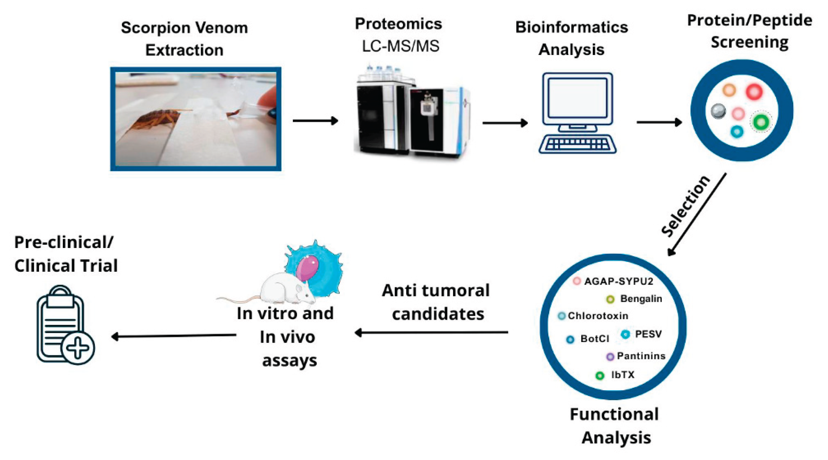 Preprints 174168 g001