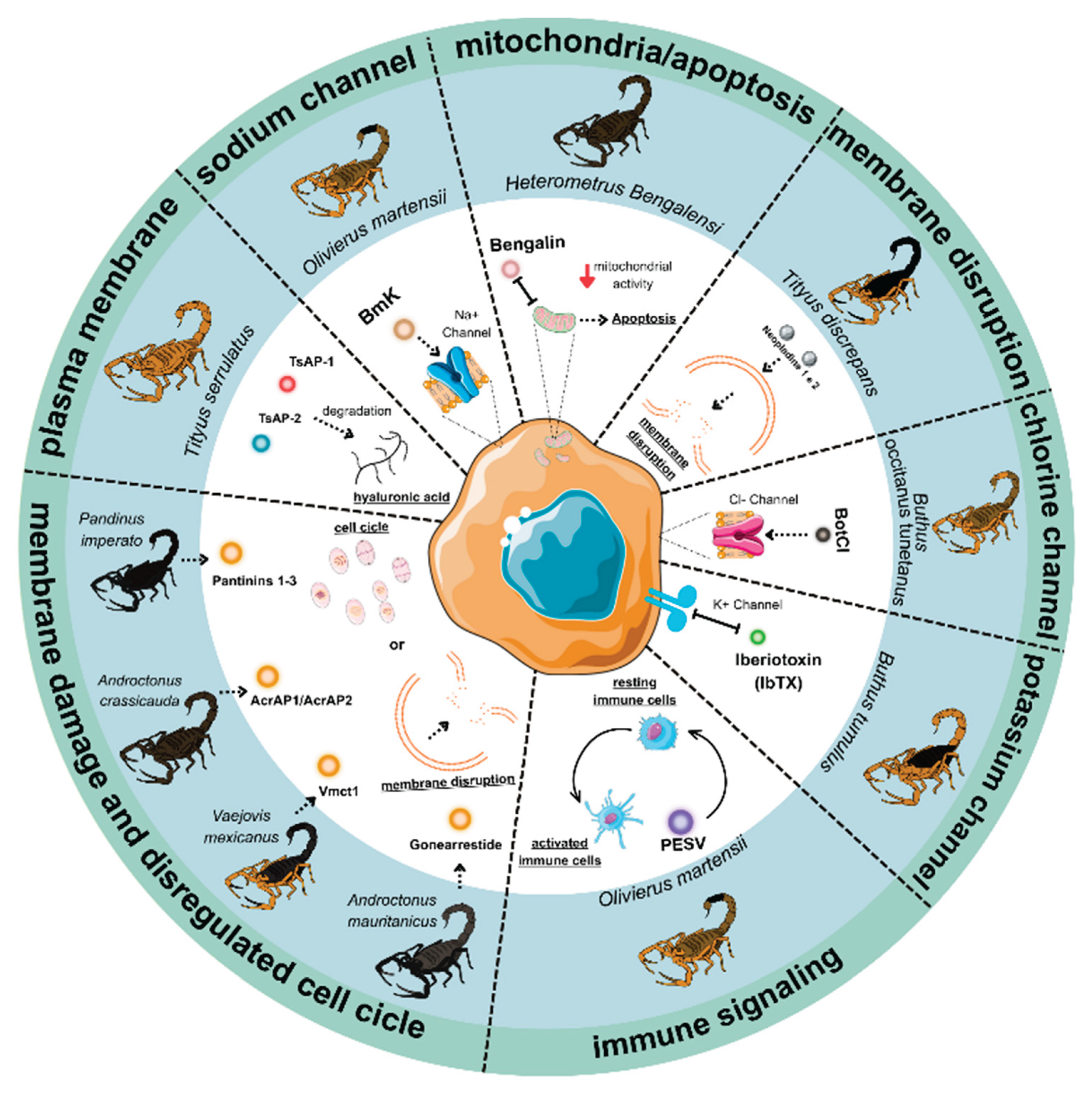 Preprints 174168 g002