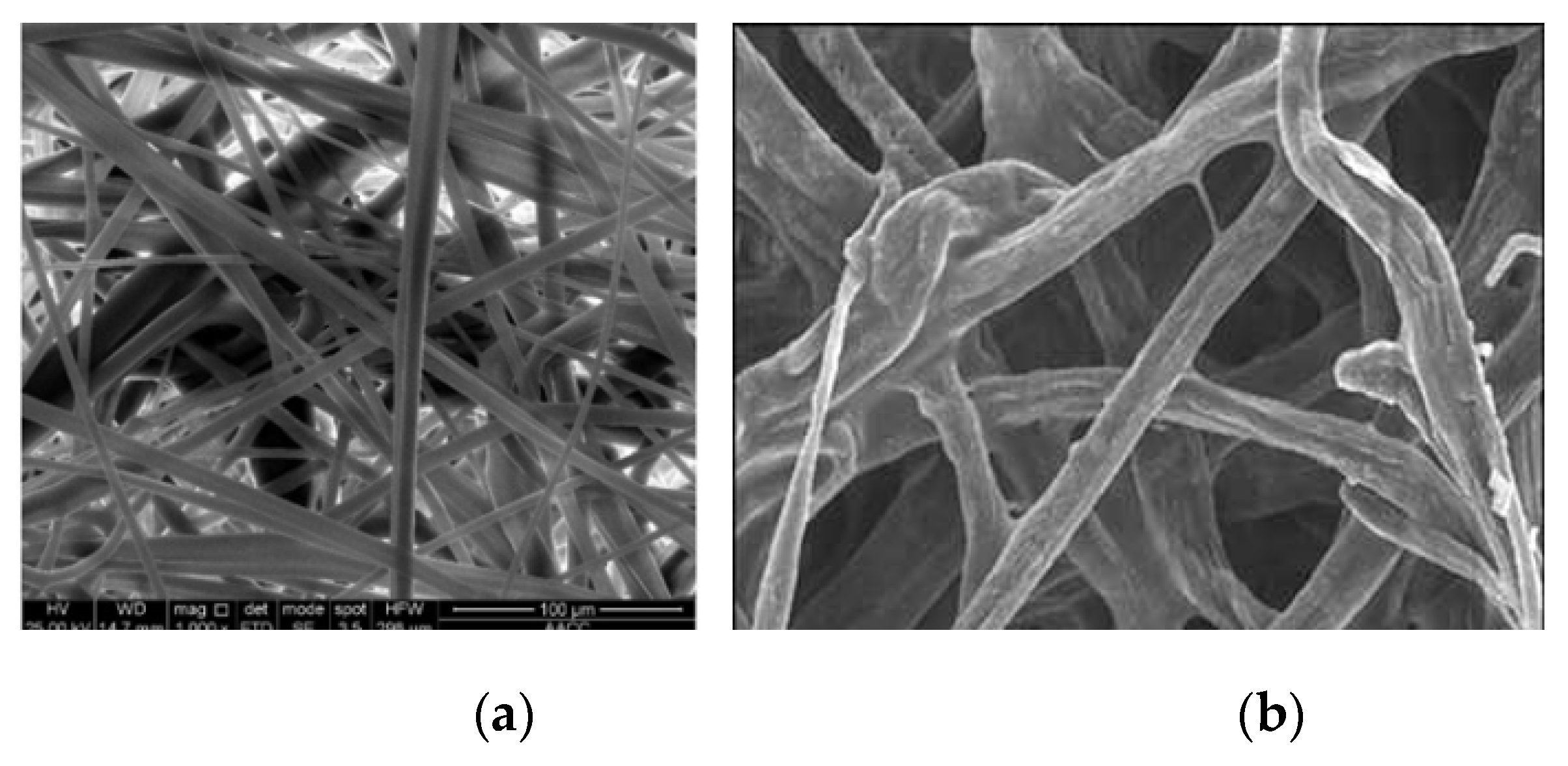 Preprints 184133 g011