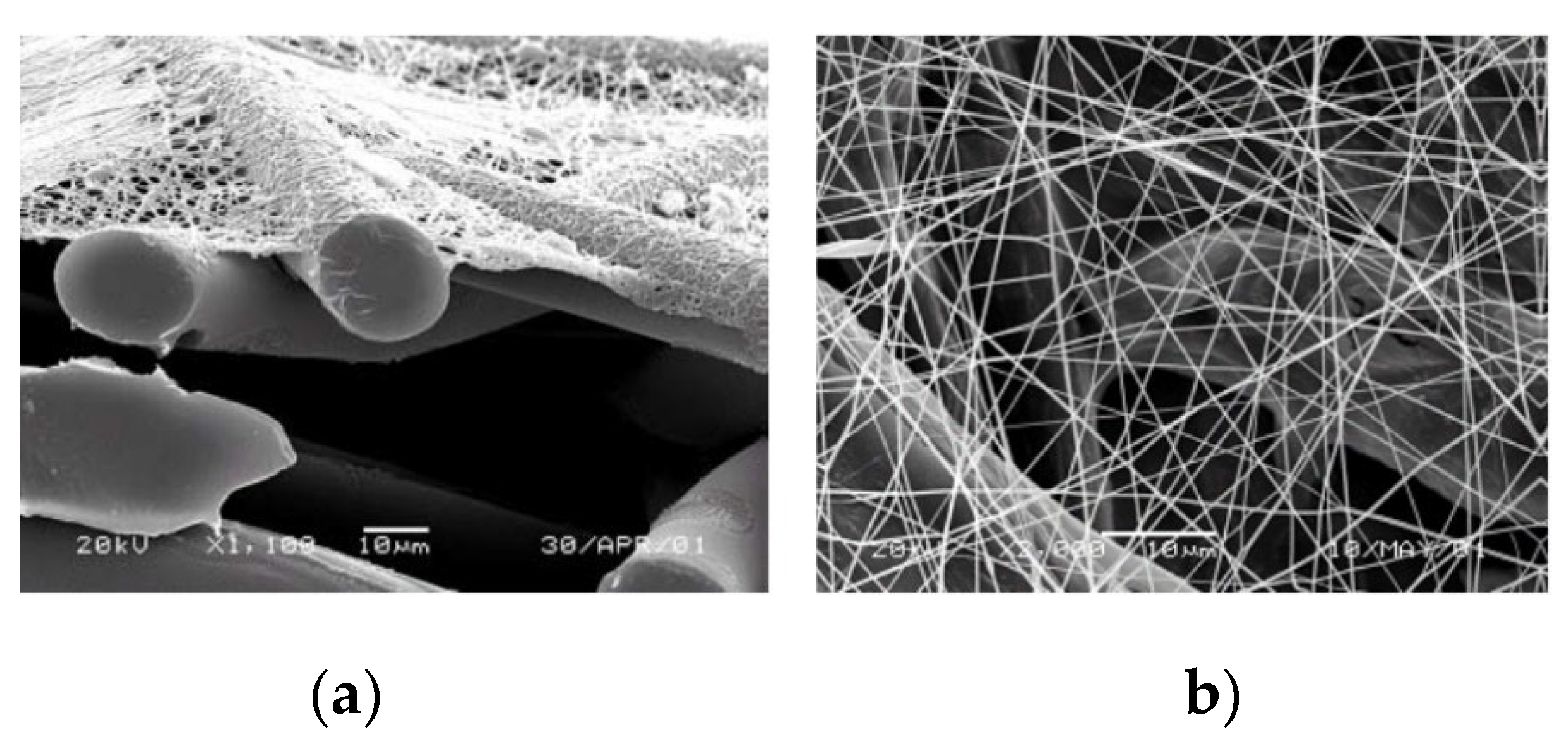 Preprints 184133 g014