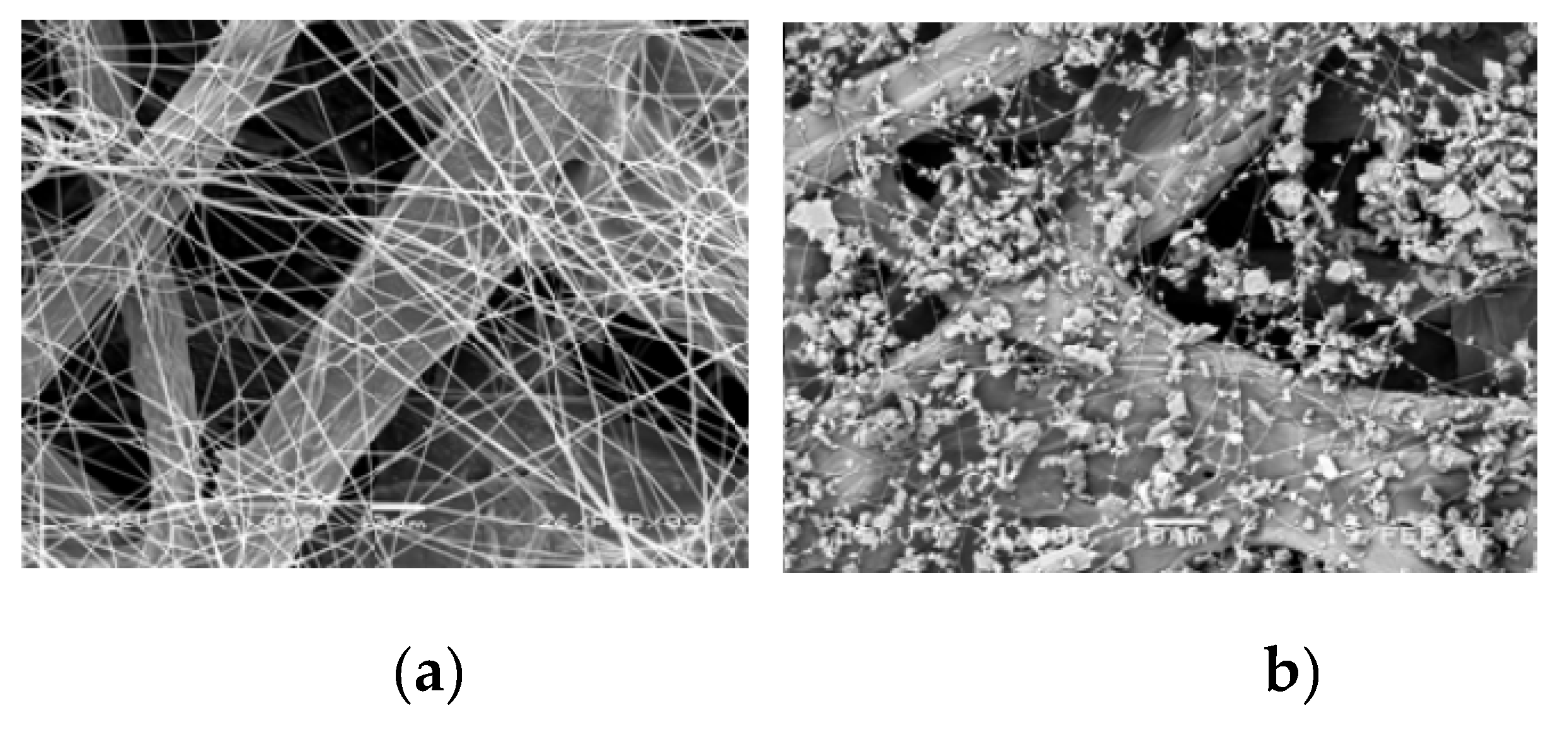 Preprints 184133 g015