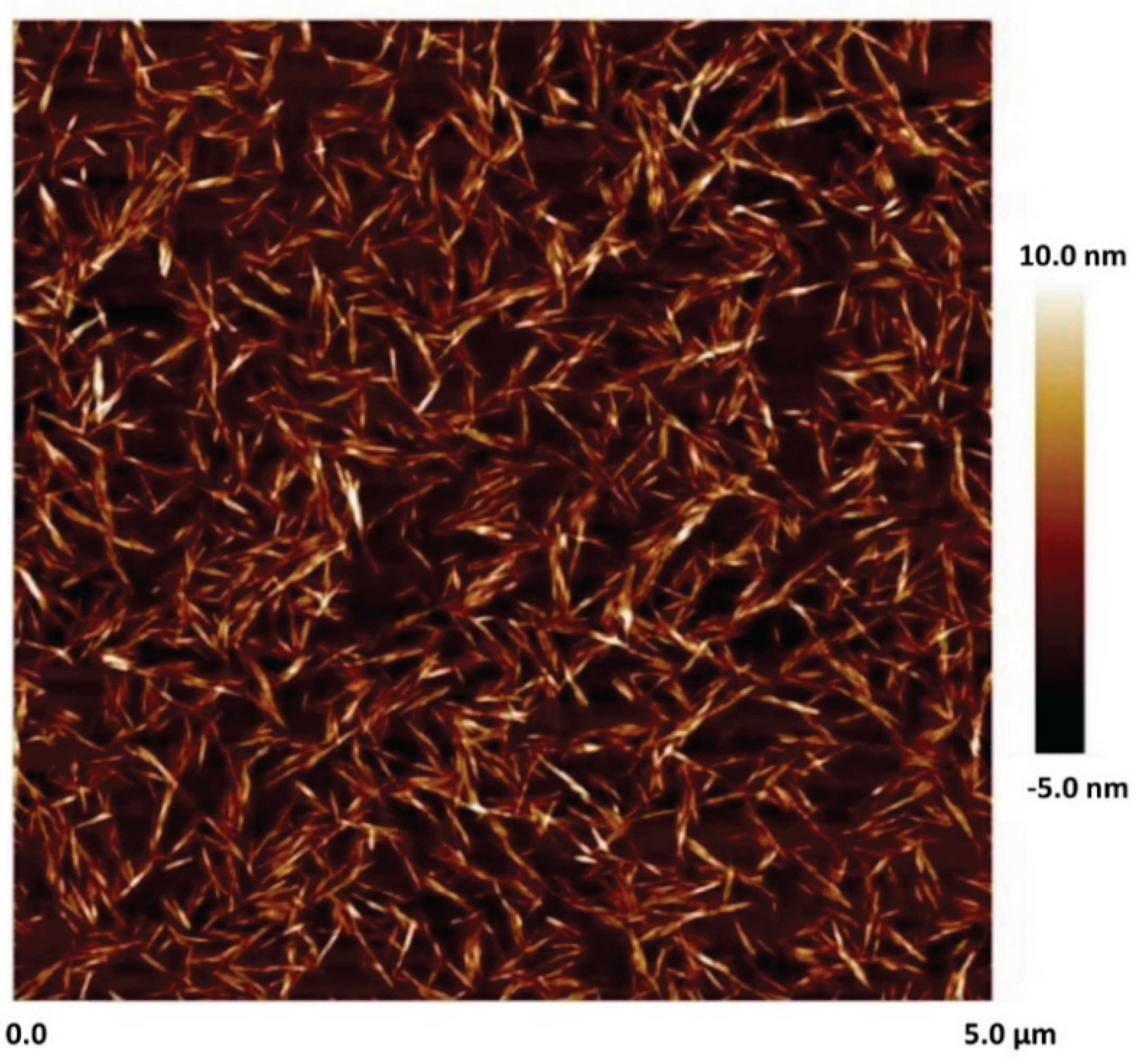 Preprints 169603 g002