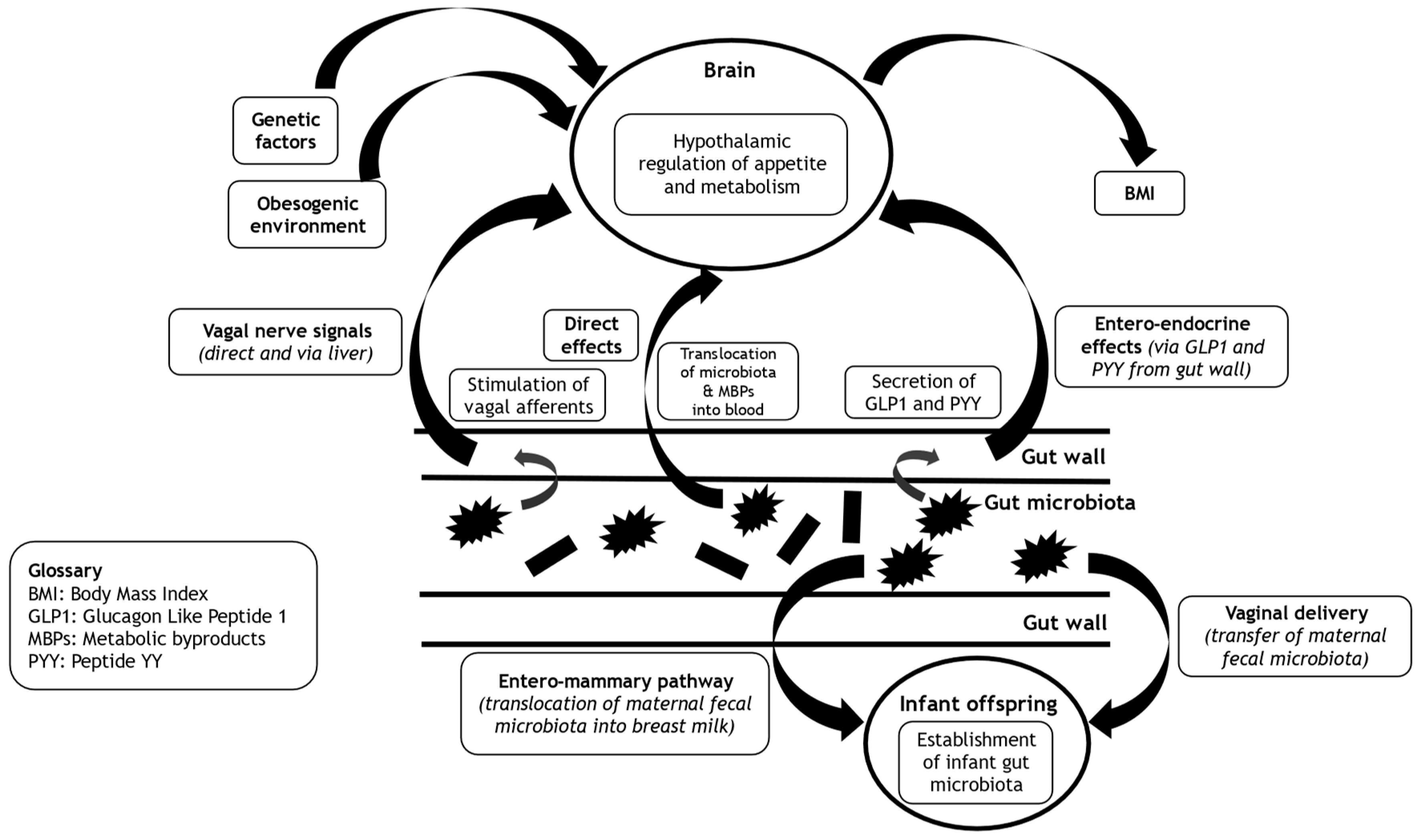 Preprints 156836 g001