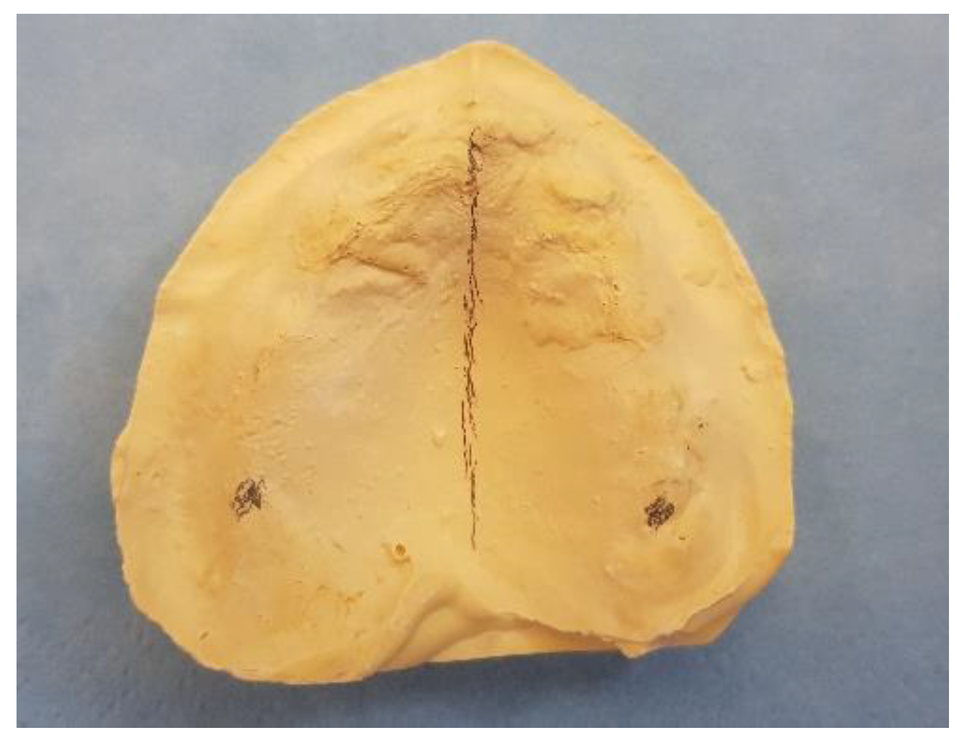 Preprints 92994 g001