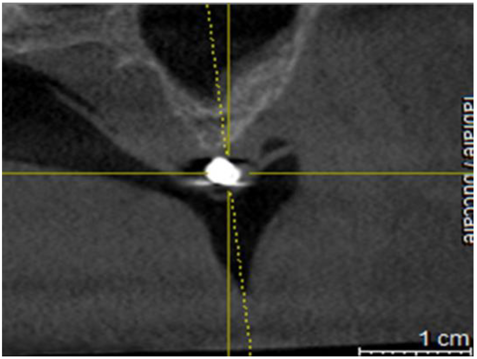 Preprints 92994 g004