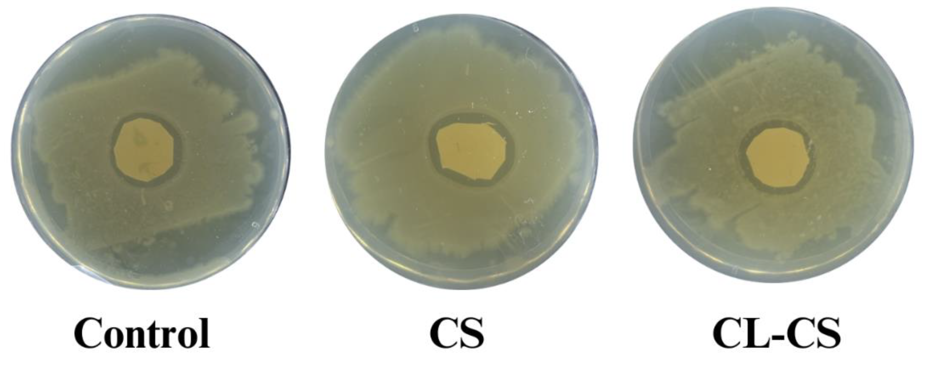 Preprints 184951 g008