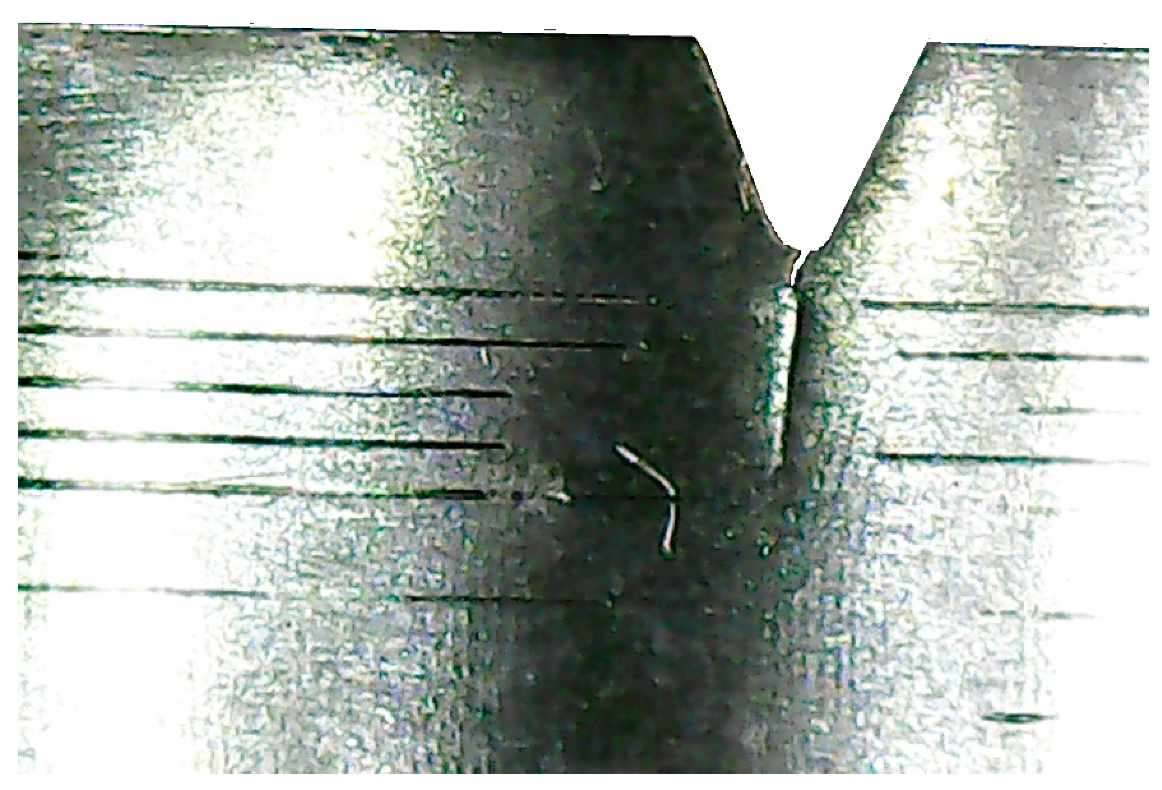 Preprints 164697 g007