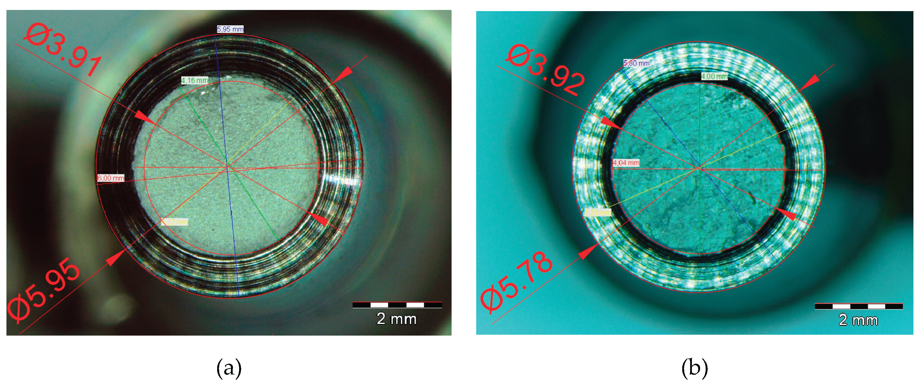 Preprints 164697 g013