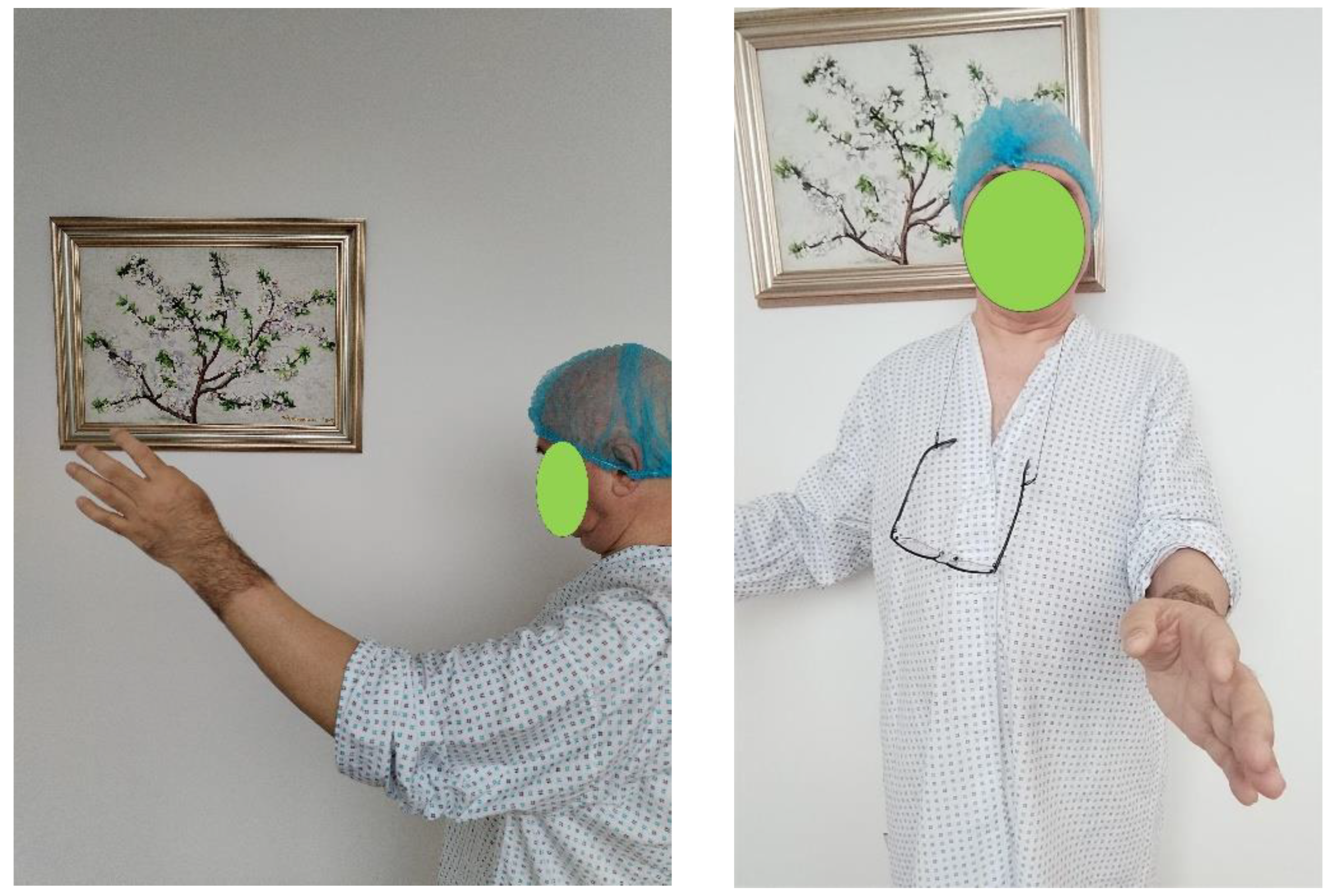 Preprints 177174 g001