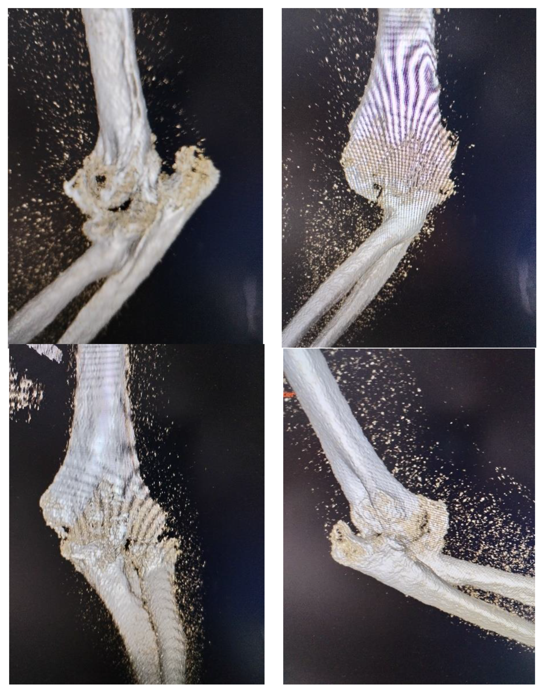 Preprints 177174 g002