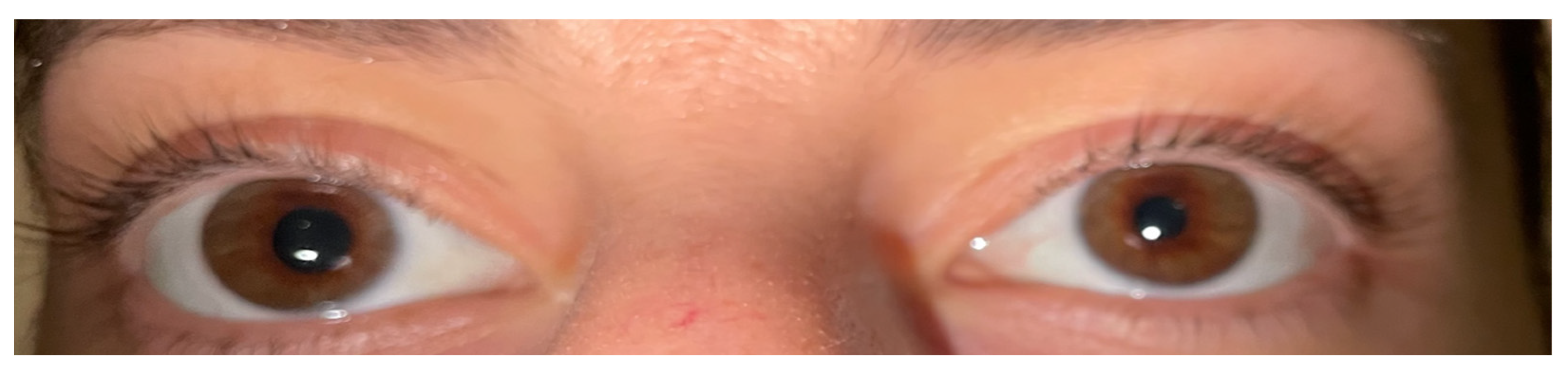 Preprints 143820 g003