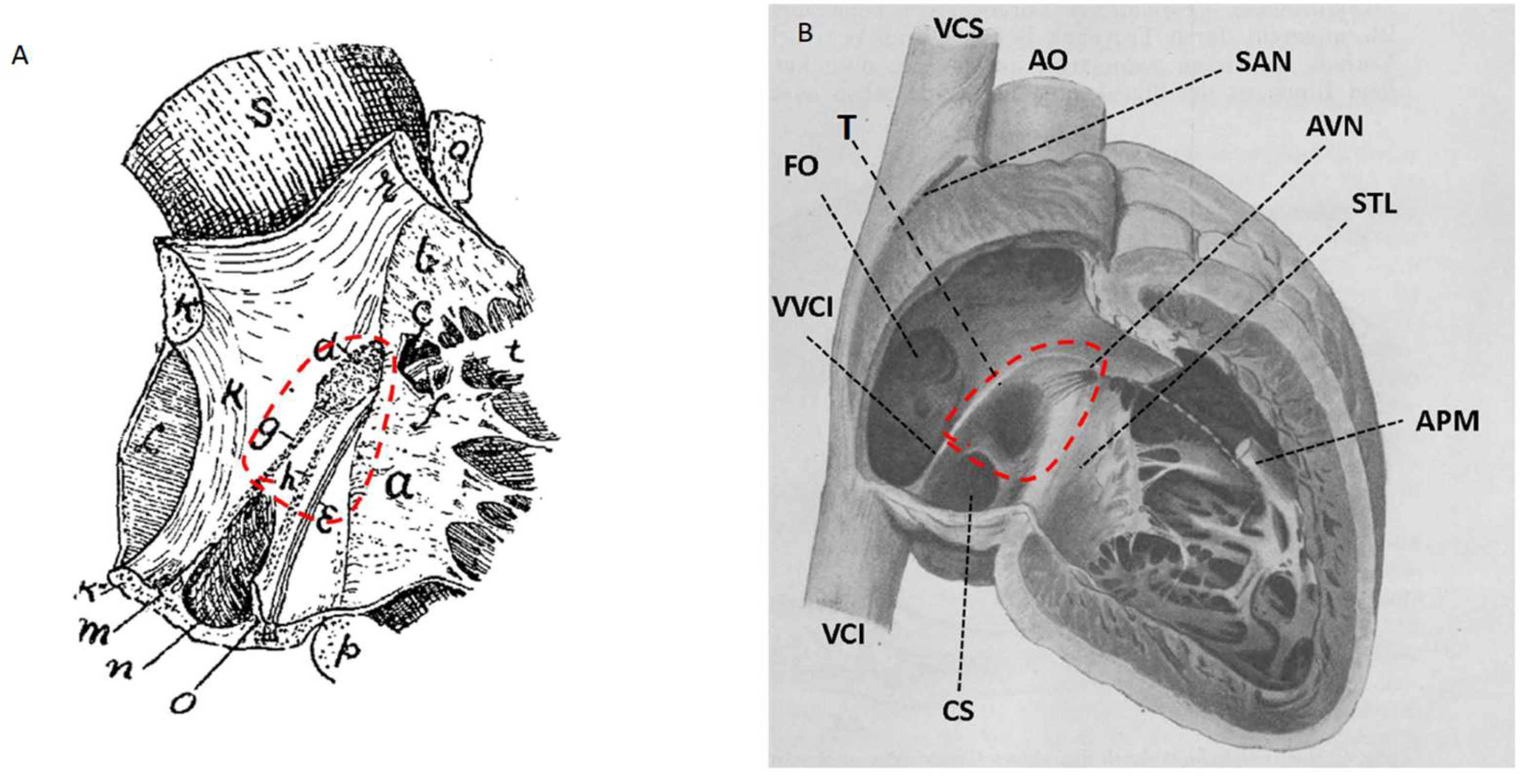 Preprints 164918 g003
