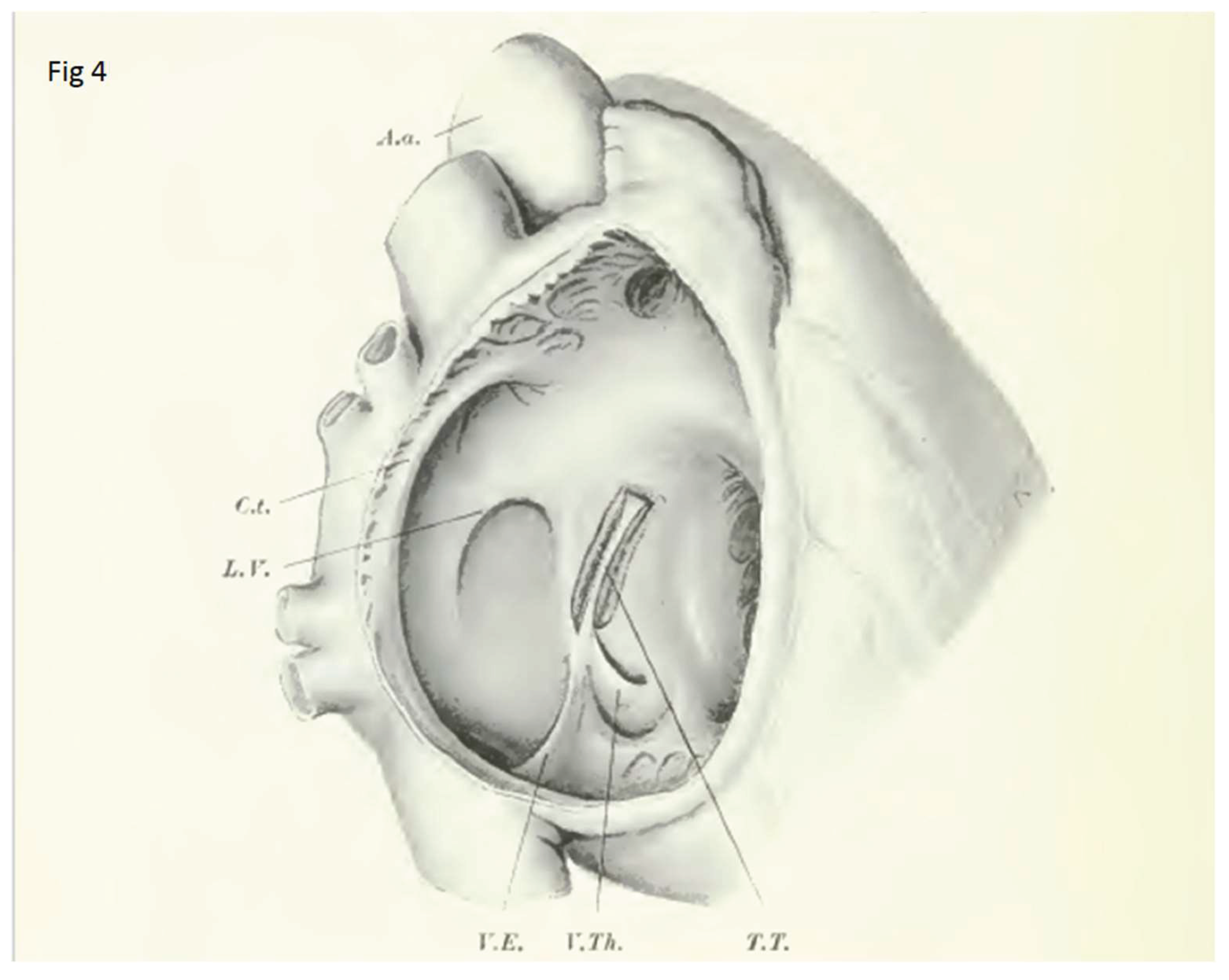 Preprints 164918 g004