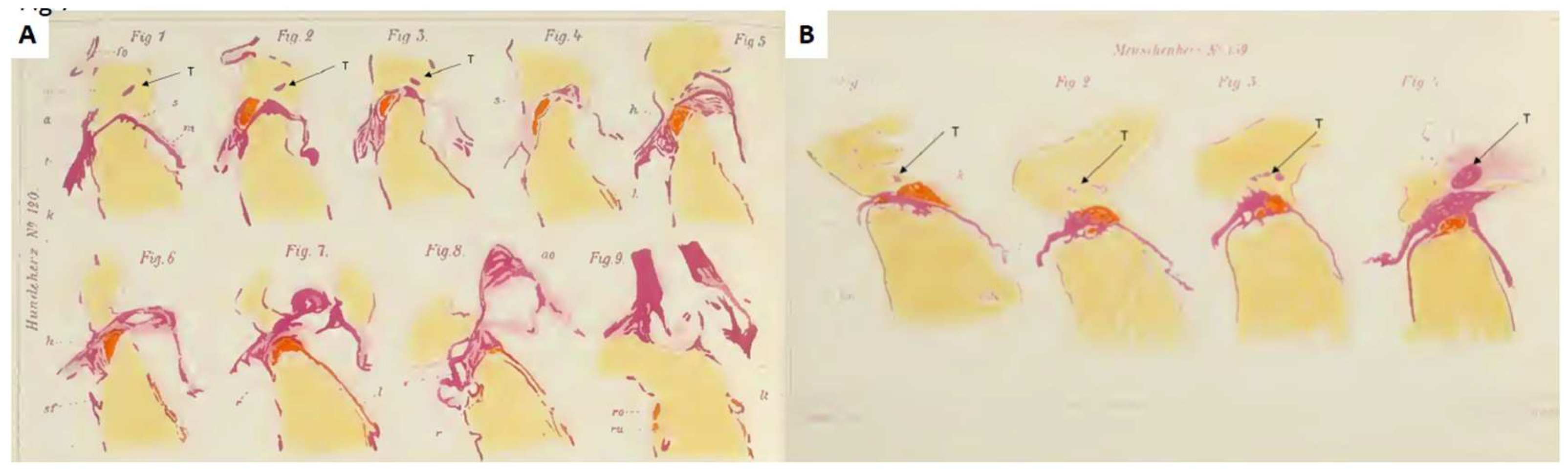 Preprints 164918 g007