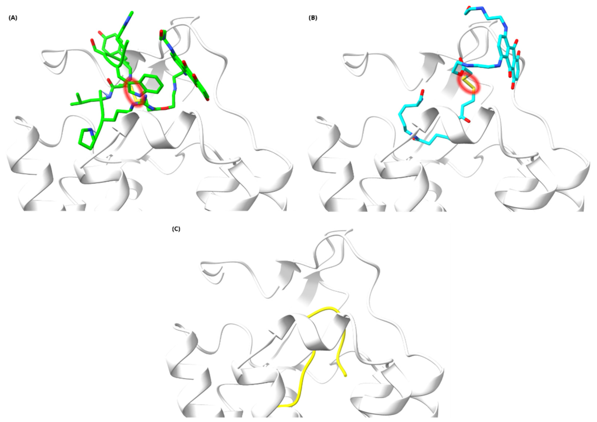 Preprints 226456 g004