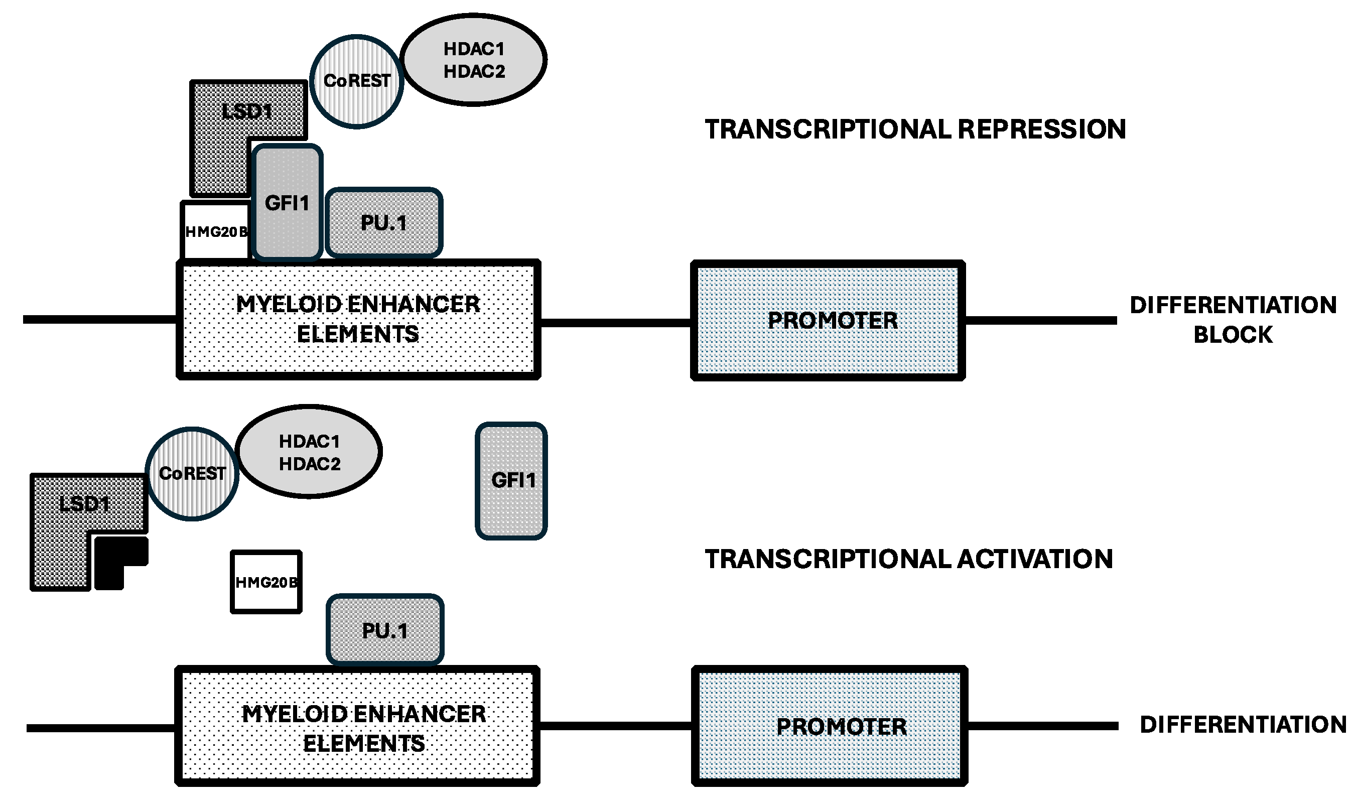 Preprints 148820 g002