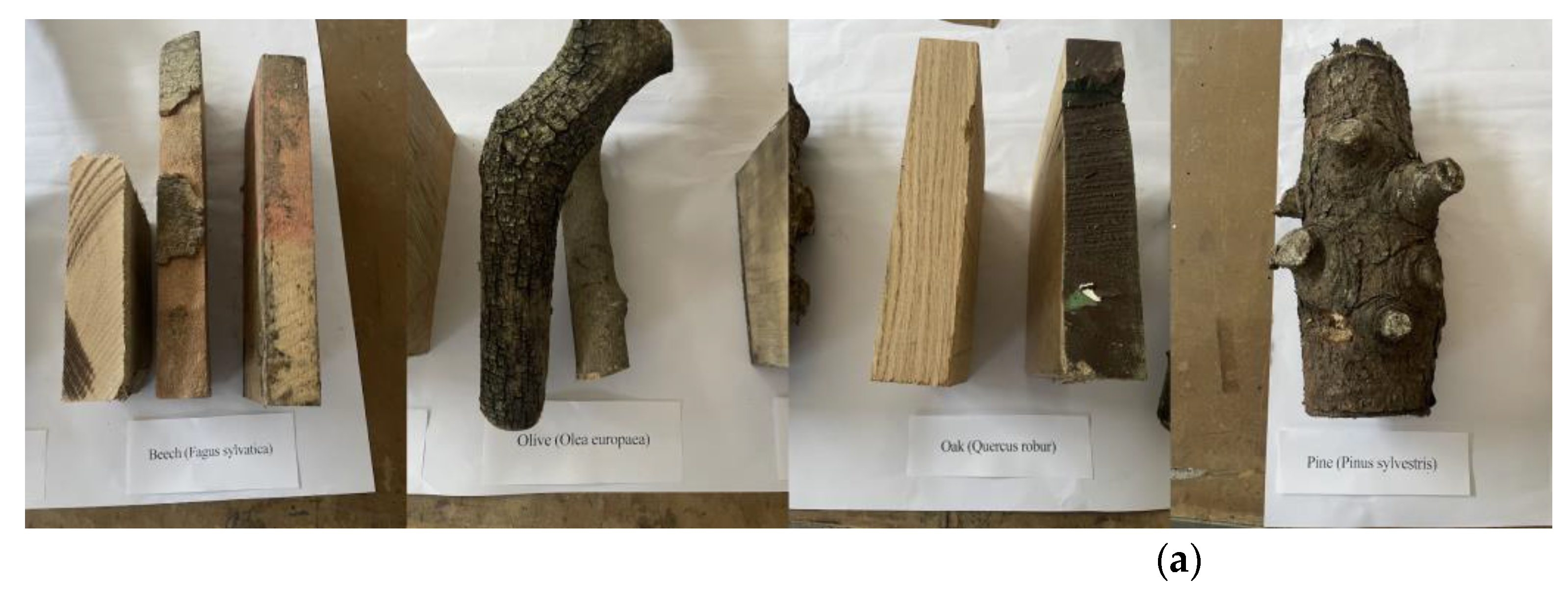 Preprints 175110 g001a