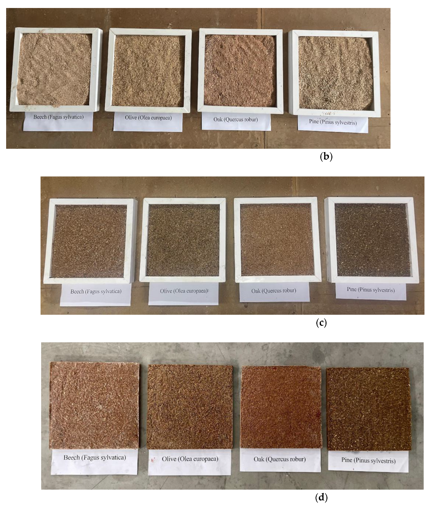 Preprints 175110 g001b