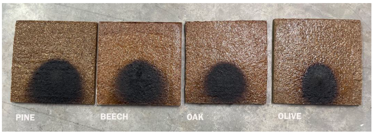 Preprints 175110 g011