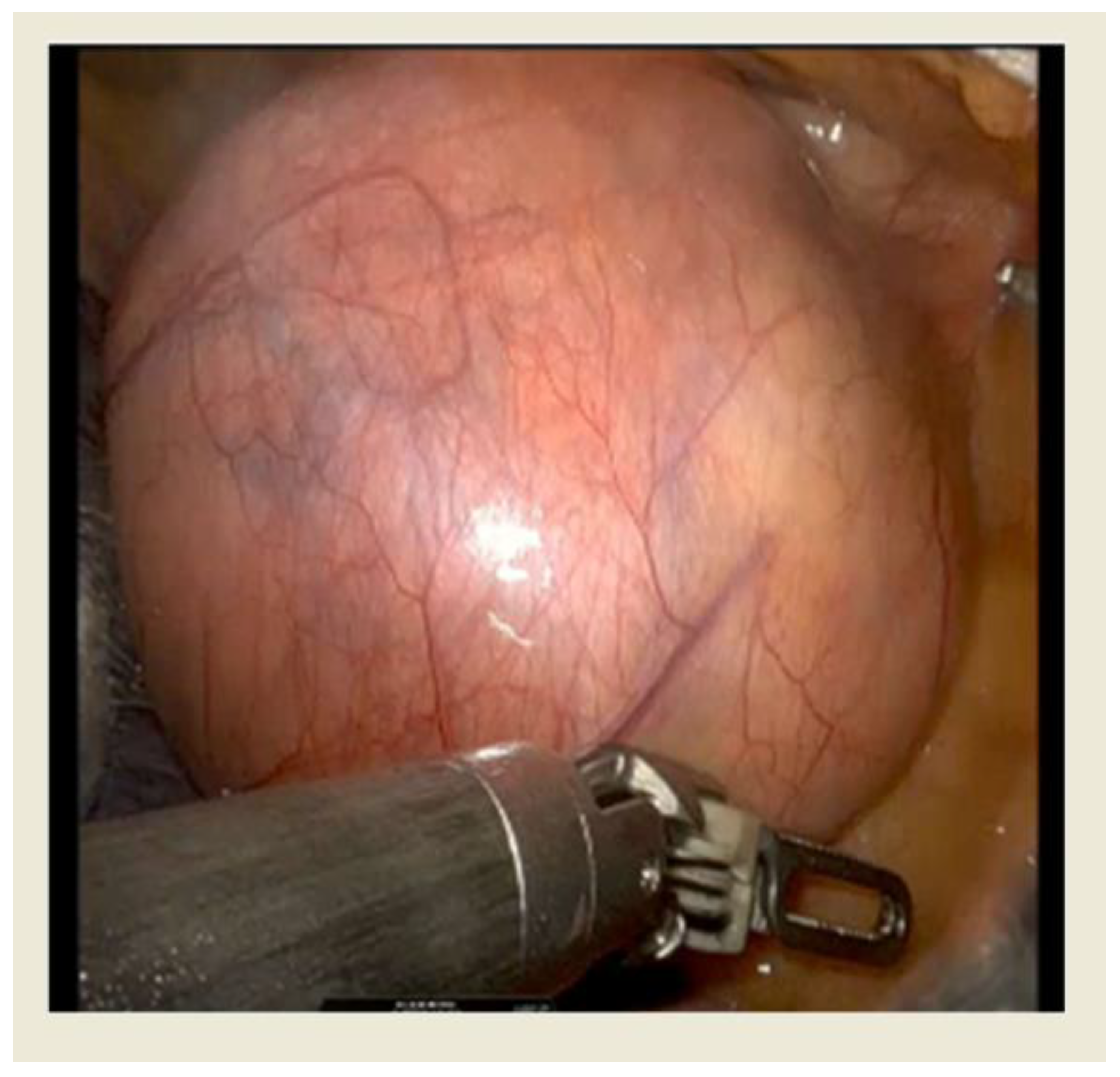 Preprints 114166 g002