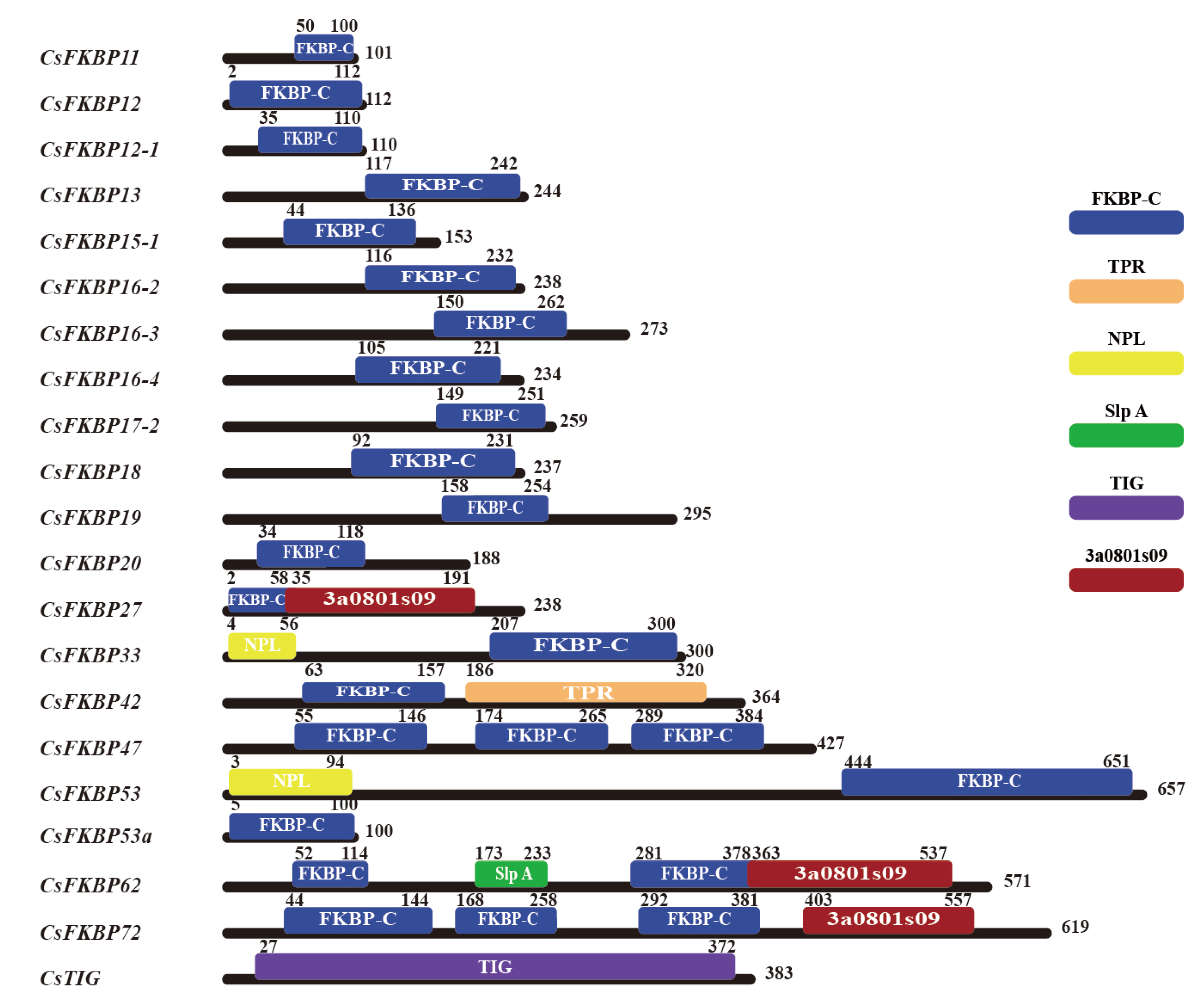 Preprints 148754 g001