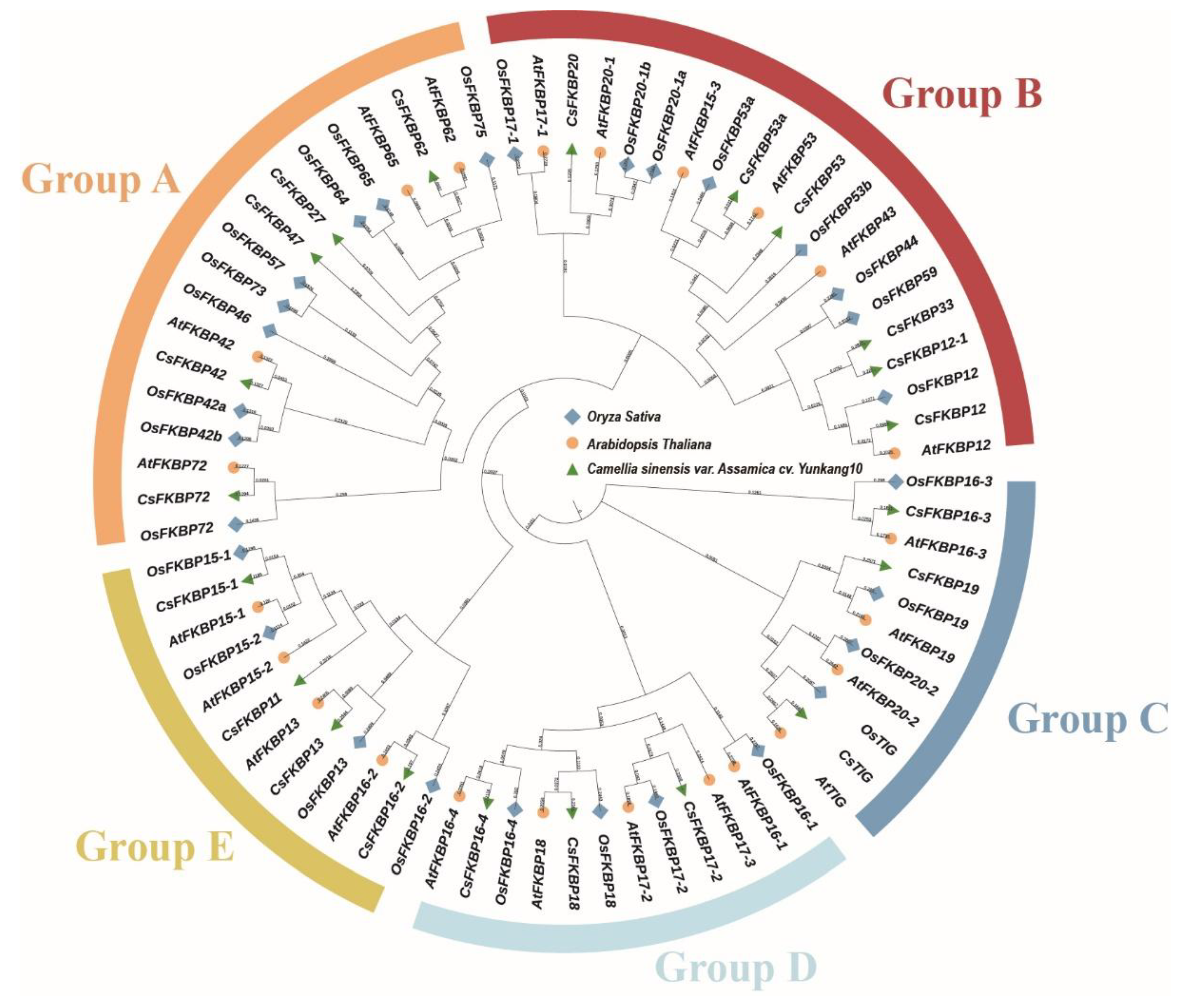 Preprints 148754 g002